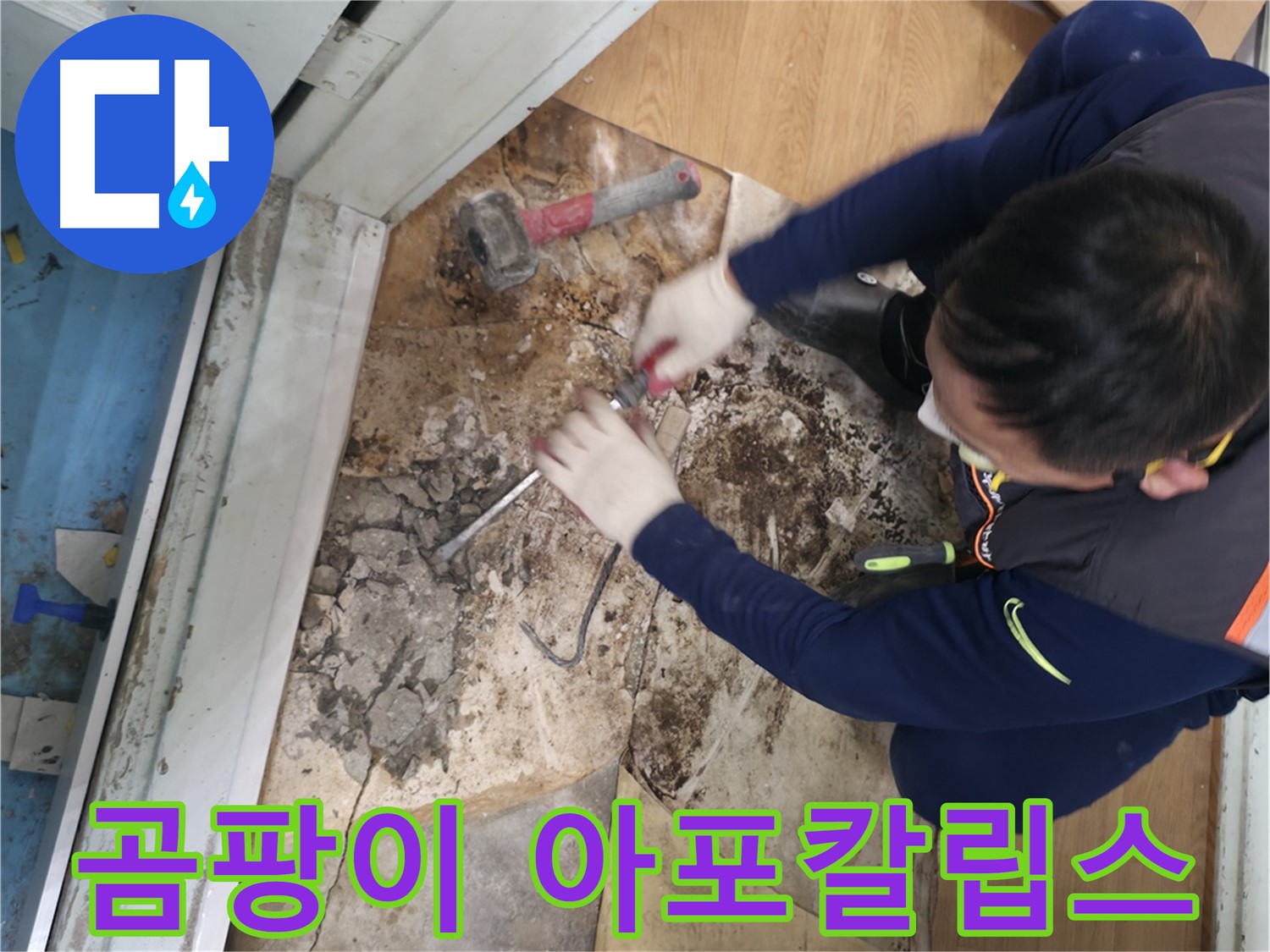 서초구 명달로4길 50 누수 - 곰팡이 아포칼립스 철거