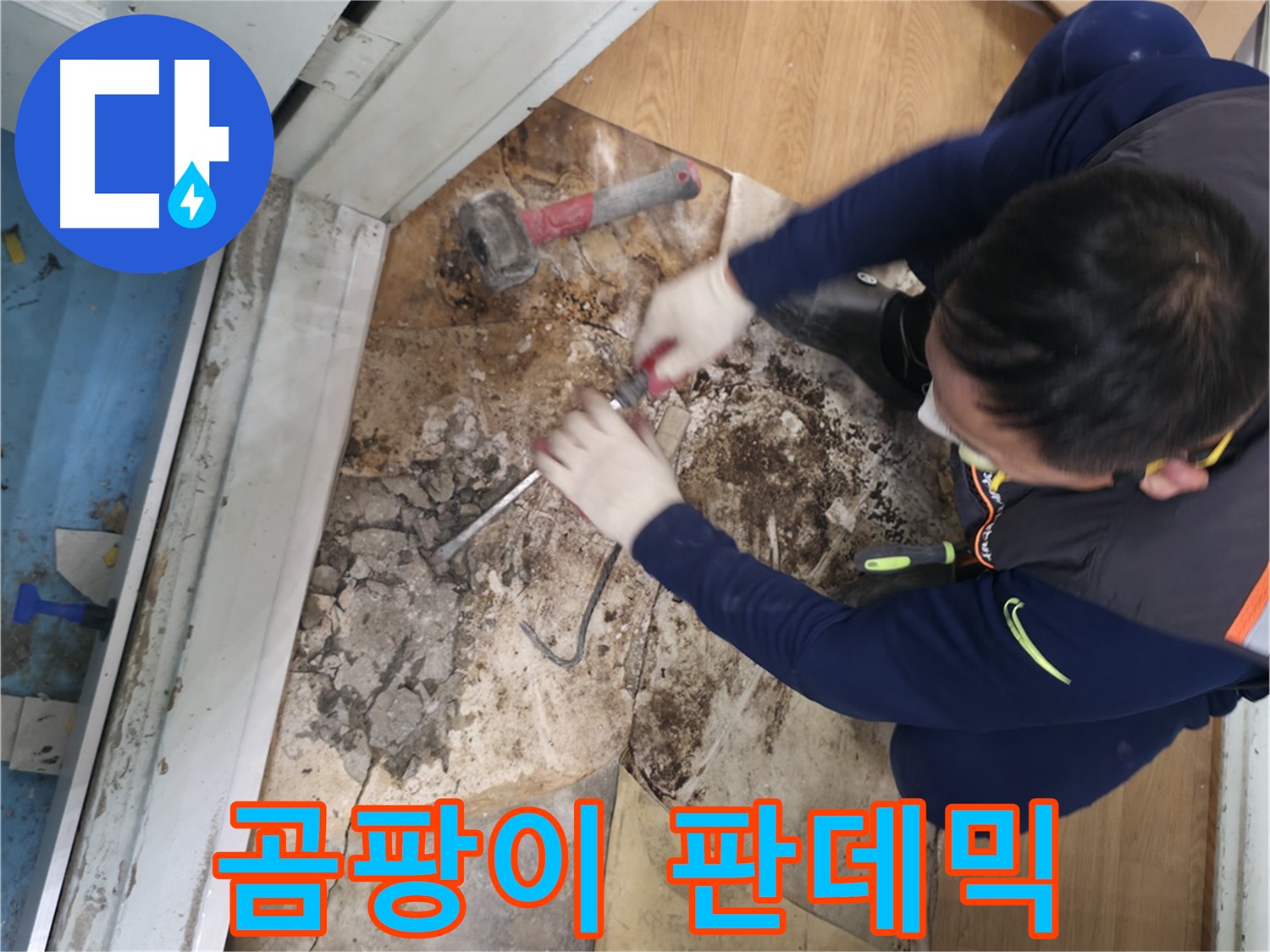 서초구 명달로4길 50 누수 - 곰팡이 판데믹 철거