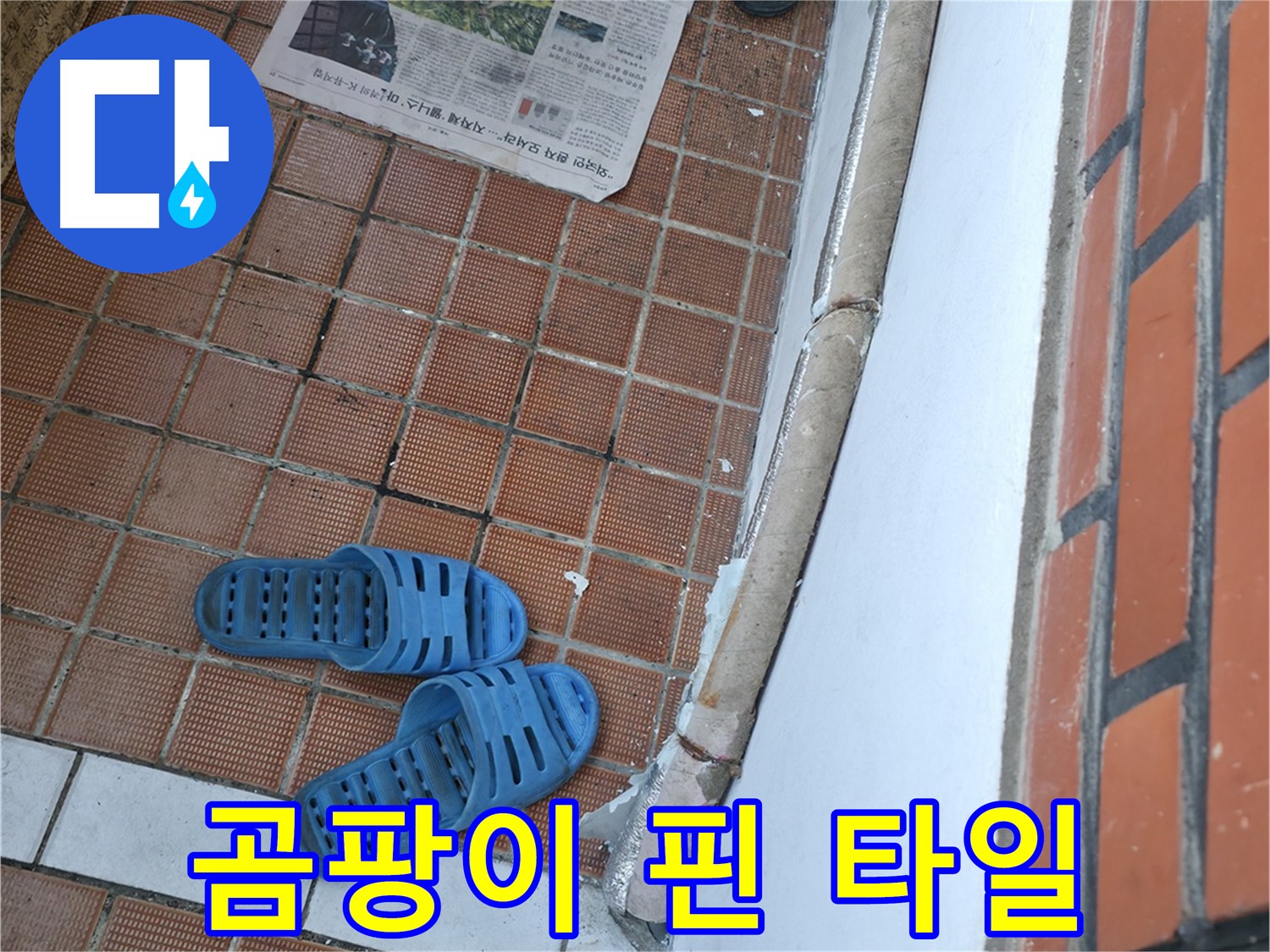 서초구 명달로4길 50 누수 - 곰팡이 핀 타일은 습한 환경과 누수의 합작품
