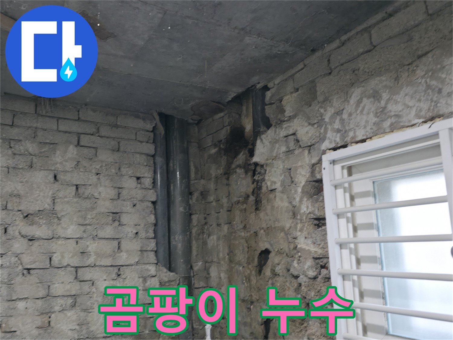서초구 명달로4길 누수 - 누수로 인해 벽에 곰팡이가 심하게 발생했습니다 - 누수 해결과 곰팡이 제거를 동시에 진행했습니다.