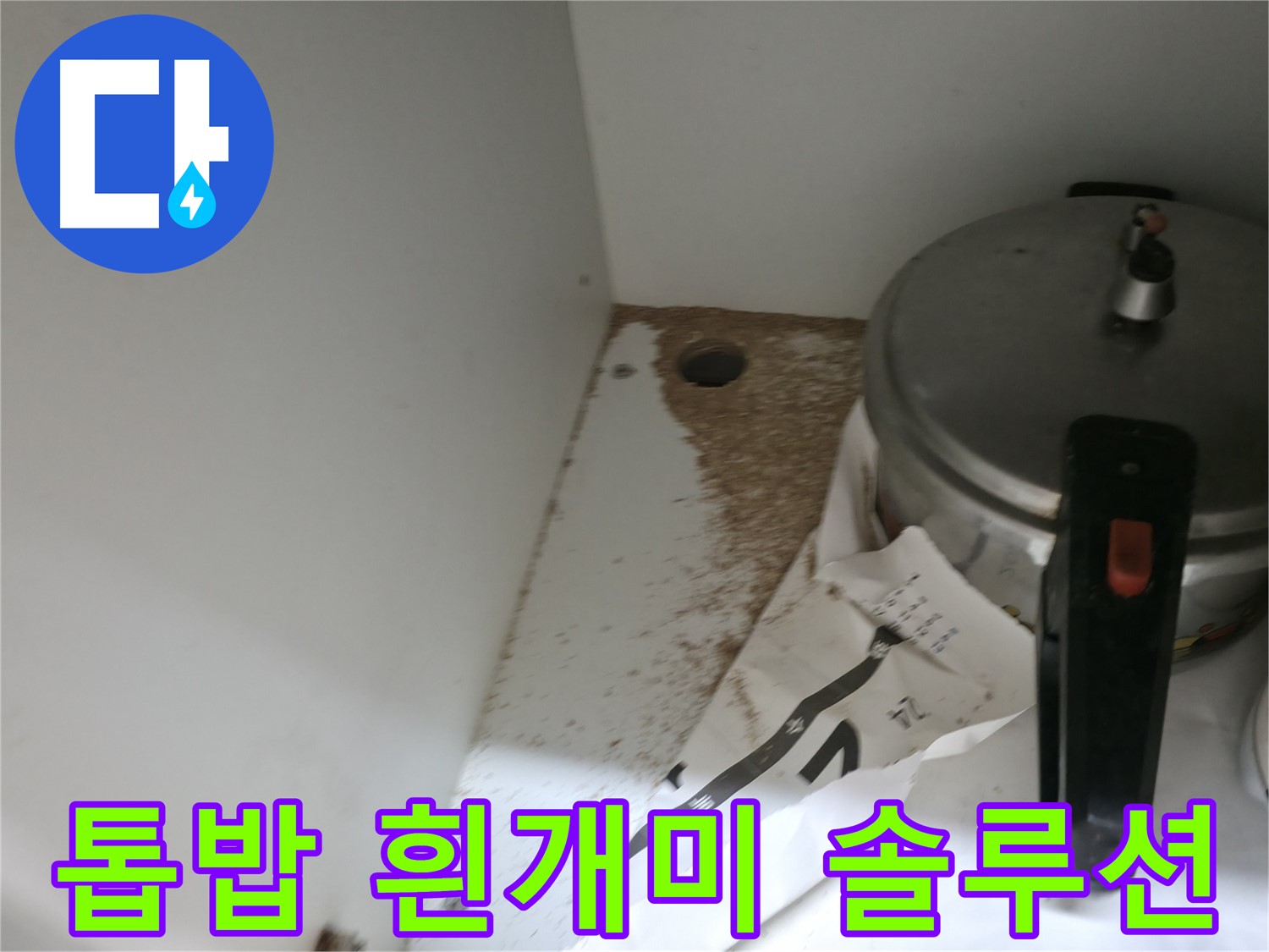 서초구 명달로4길 싱크대 누수 - 톱밥, 흰개미 의심, 안심 솔루션 제공