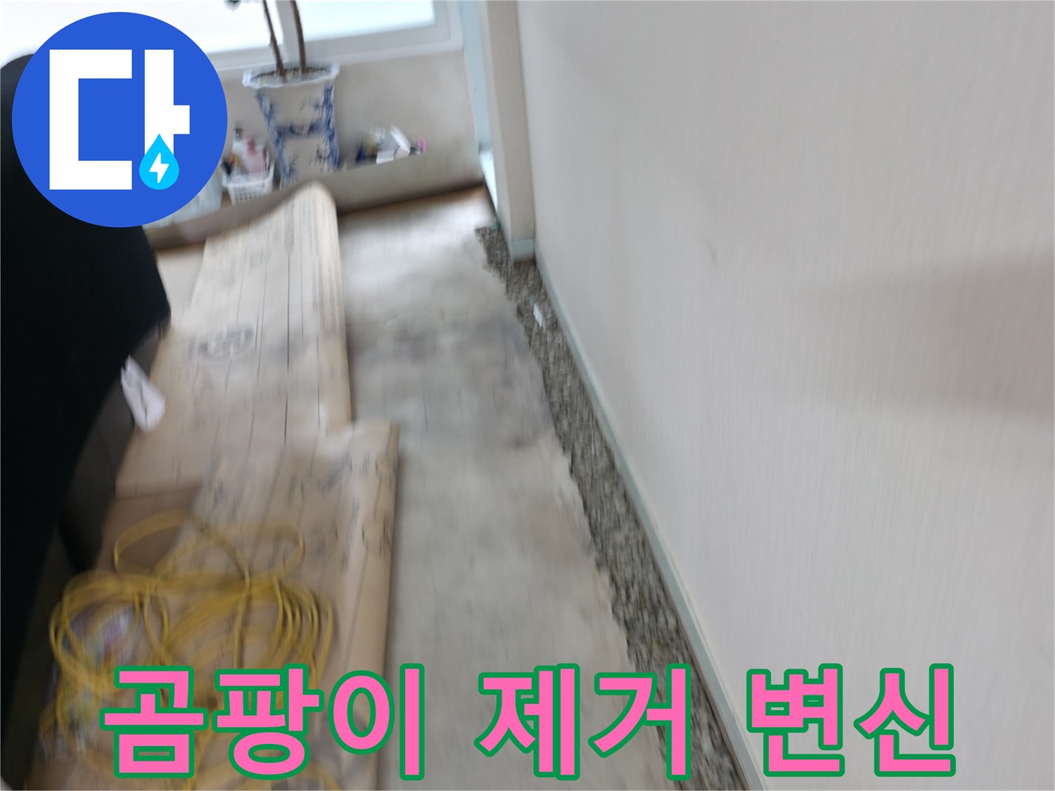 서초구 서초2동 곰팡이 핀 벽 깨끗하게 변신 - 쾌적한 우리 집으로!