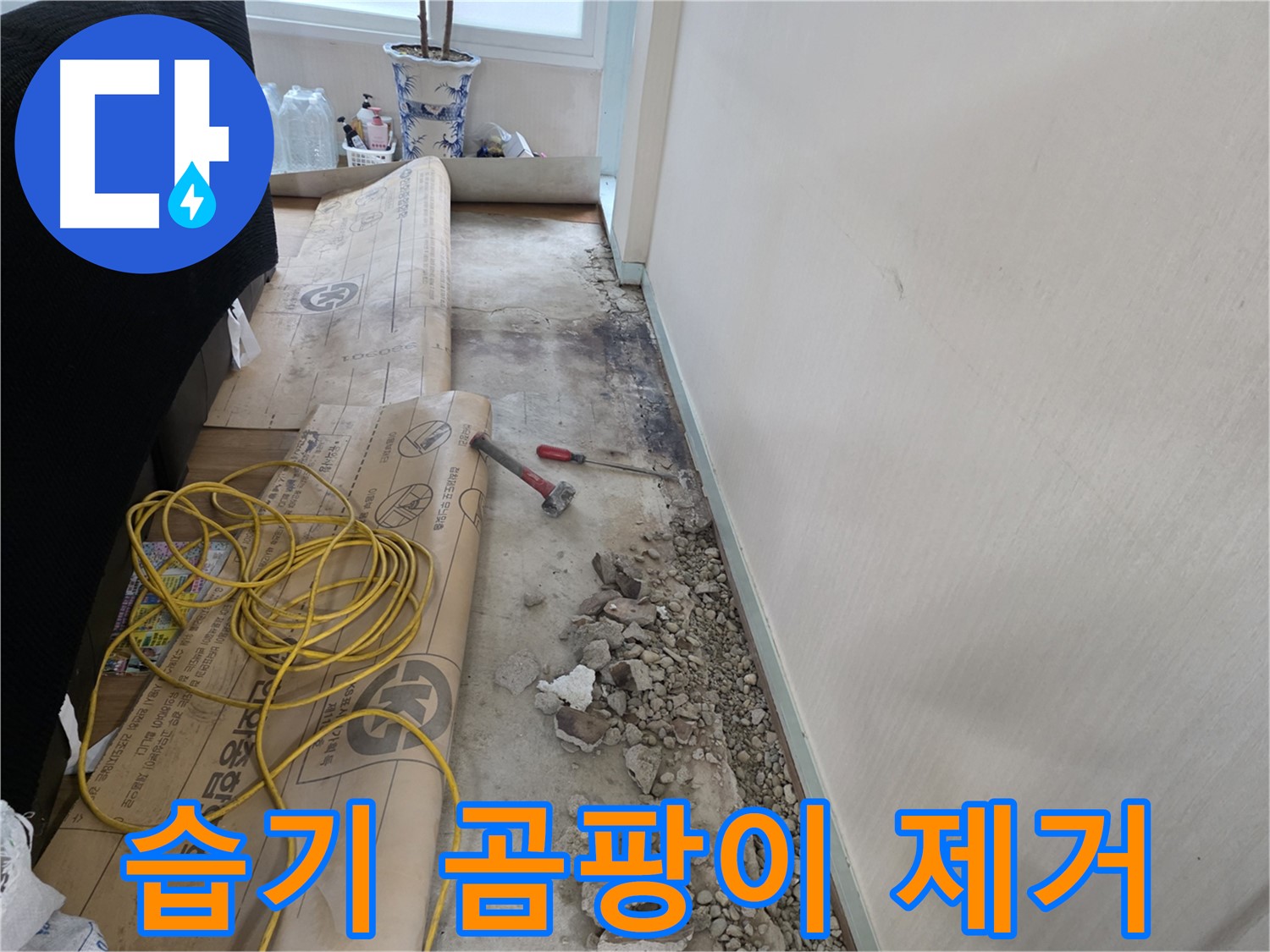 서초구 서초2동 누수 - 습기와의 전쟁, 곰팡이 냄새를 잡아라
