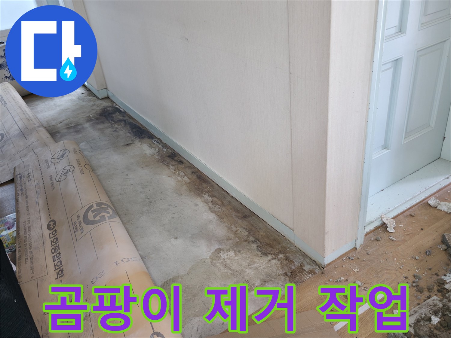 서초구 서초2동 누수 현장 - 곰팡이 제거 작업을 통해 깨끗한 환경으로 만들고 있습니다.