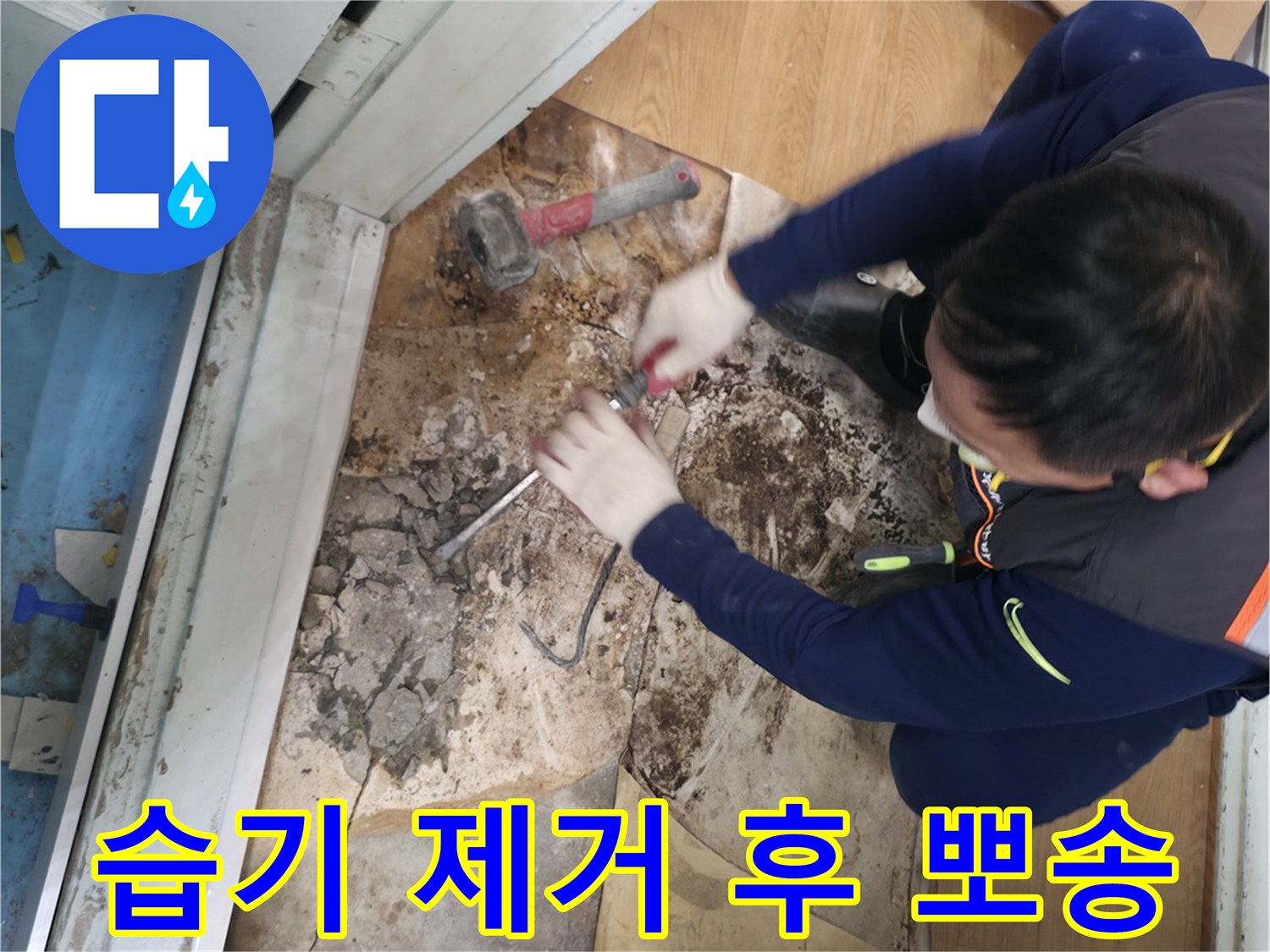 서초구 서초2동 명달로50 - 습기를 완벽하게 제거하고 뽀송뽀송해진 공간에서 상쾌한 아침을 맞이하는 모습입니다 - 습기 탈출 성공! 뽀송한 아침을 맞이하세요!