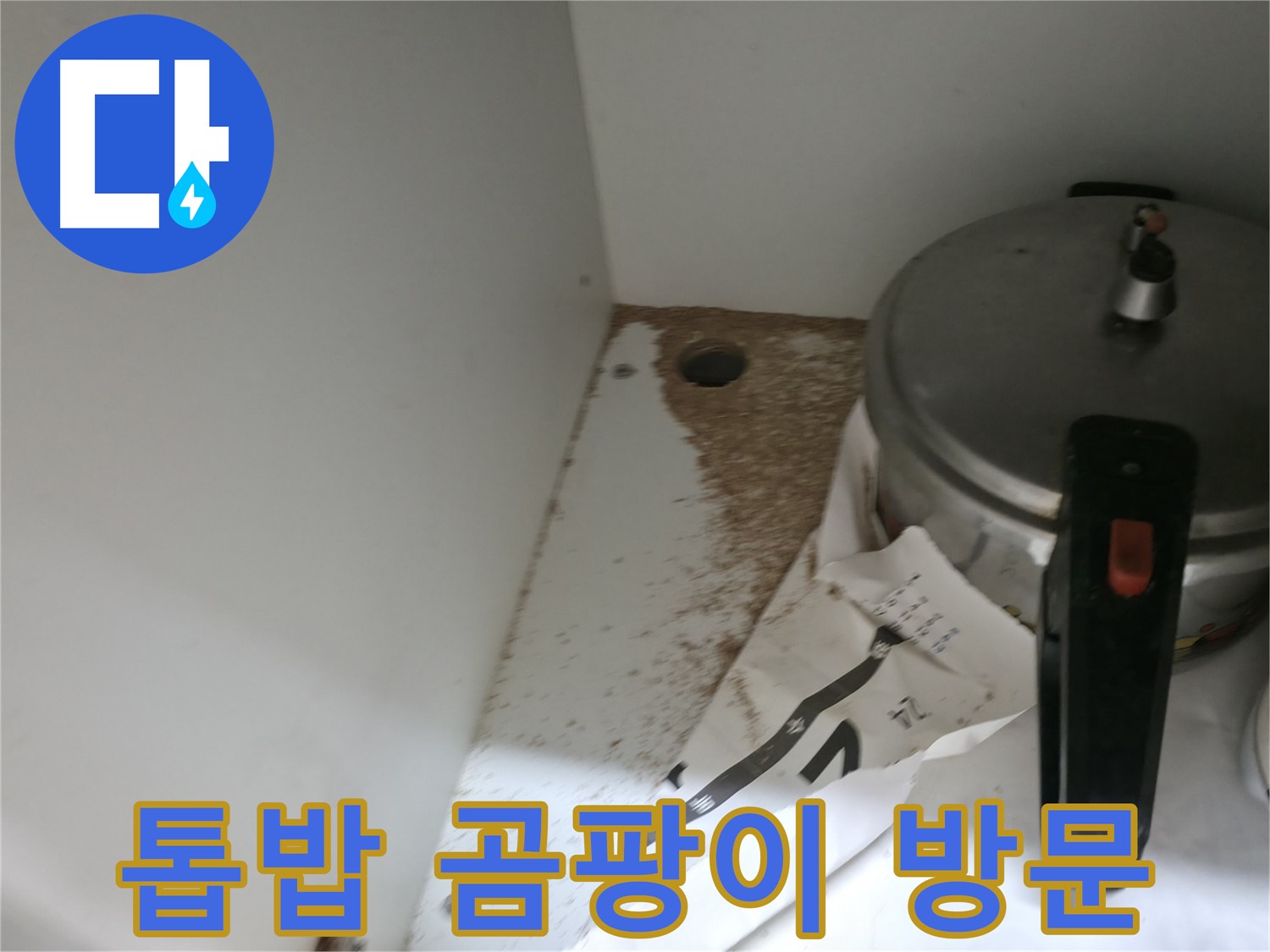 싱크대 하부 - 톱밥 - 악취 원인 - 쾌적한 환경