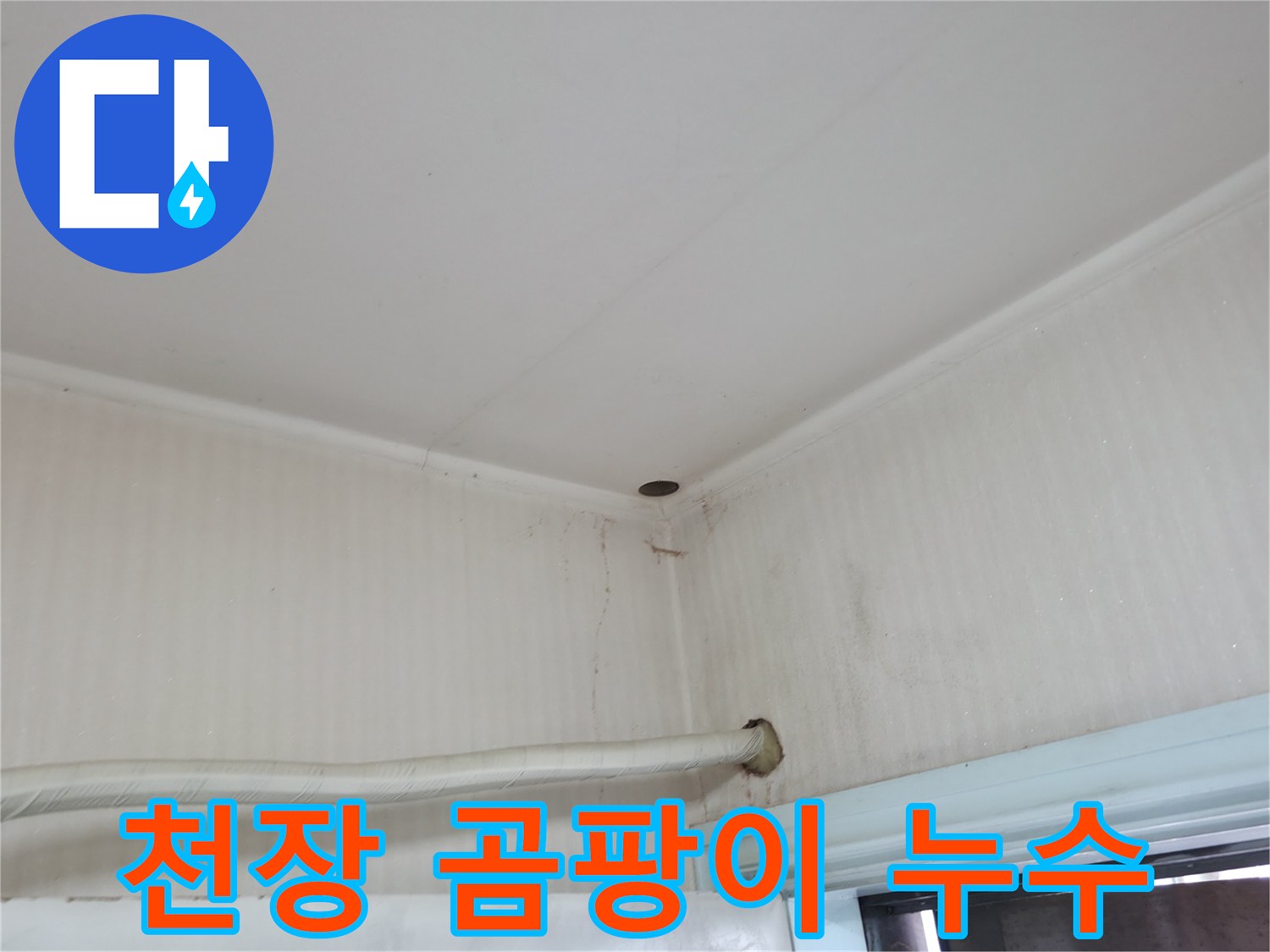 서초구 서초동 누수 - 천장에 물이 맺혀 곰팡이가 피었다면 윗집 누수를 의심해 보세요.