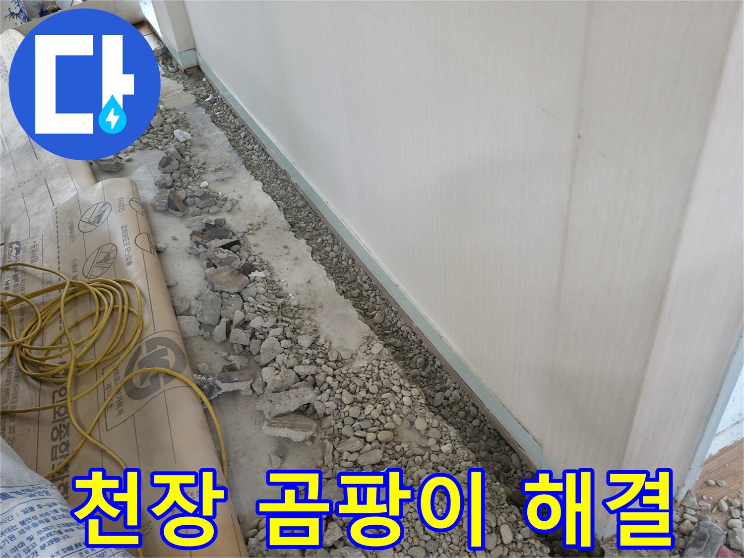 염곡동 누수 - 천장 곰팡이, 빠른 누수 탐지로 문제 해결