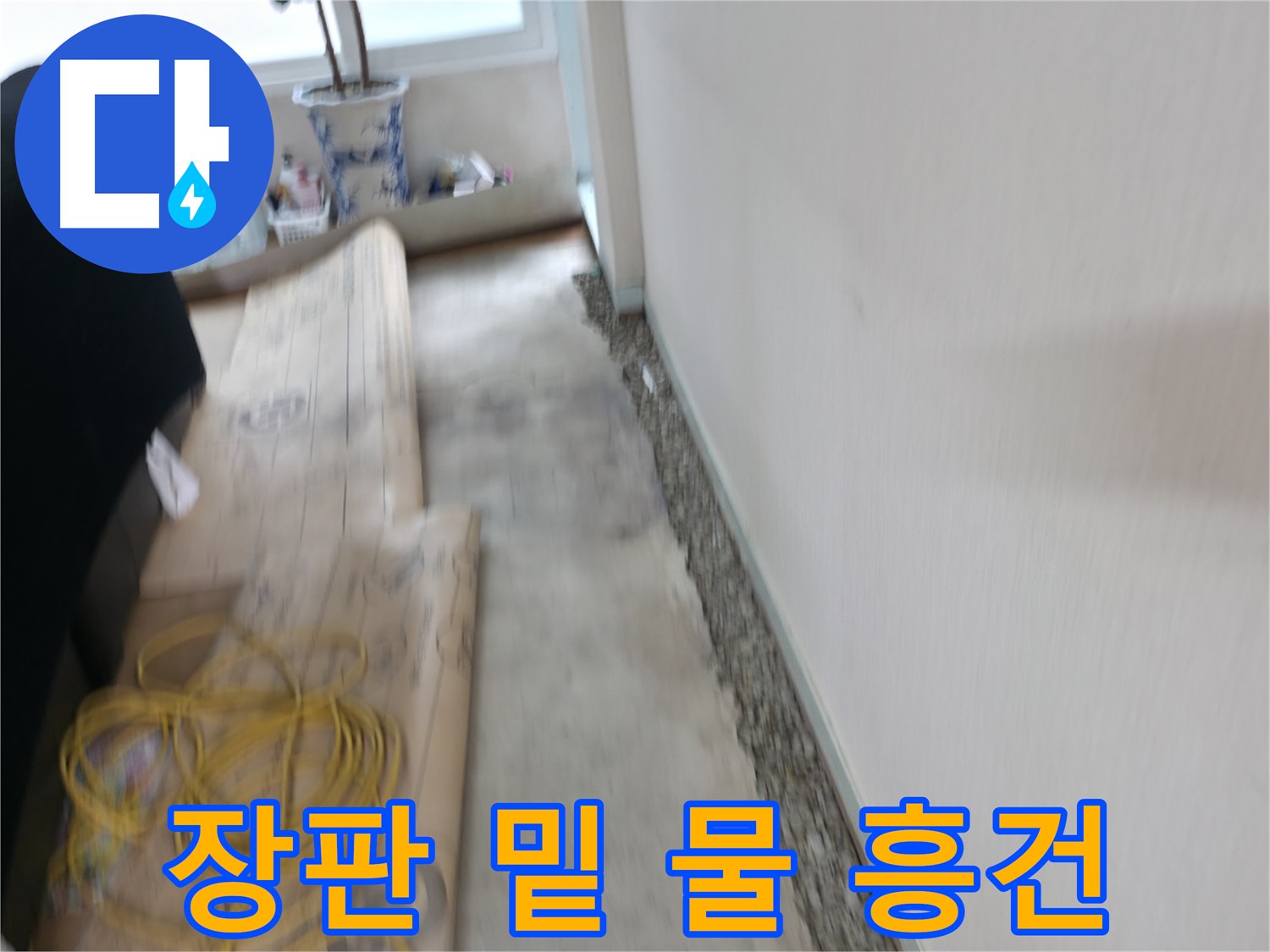장판 밑에 물이 흥건한 누수 현장을 긴급 점검하는 서초동 누수 과정 이미지입니다.