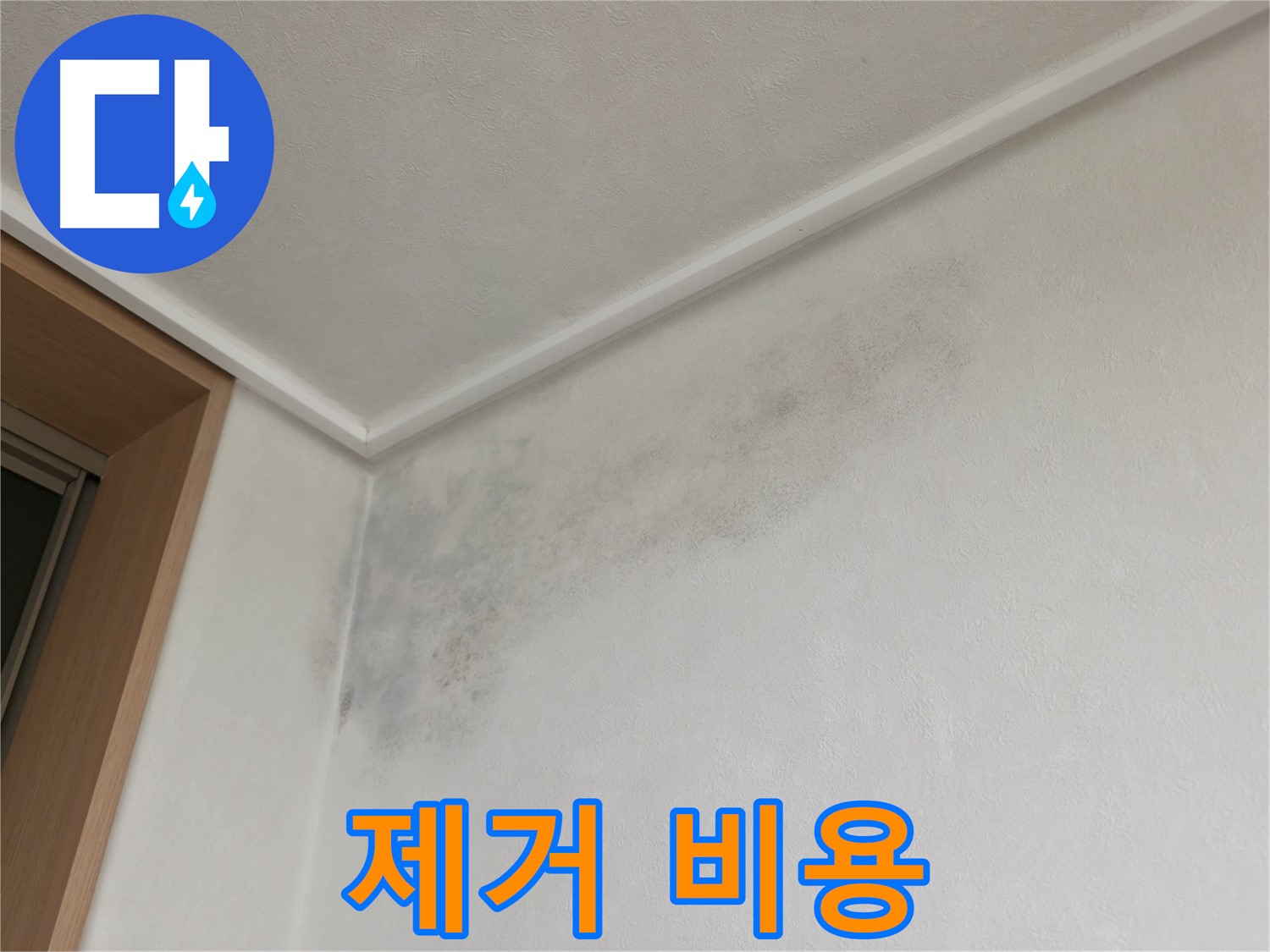 기흥역 누수 - 곰팡이 제거 비용, 누수 공사 시 함께 해결하세요.