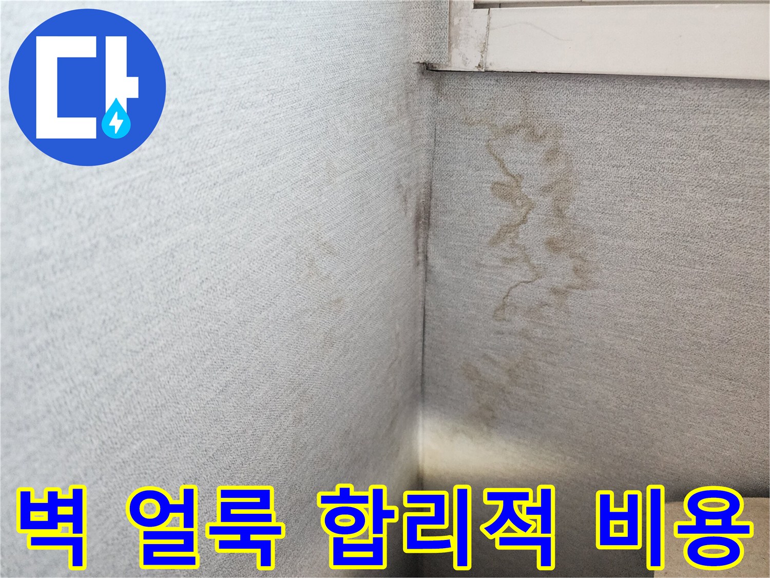 수원 누수 - 장안구 천천동 벽 얼룩, 합리적인 비용으로 최고의 서비스를 제공합니다.