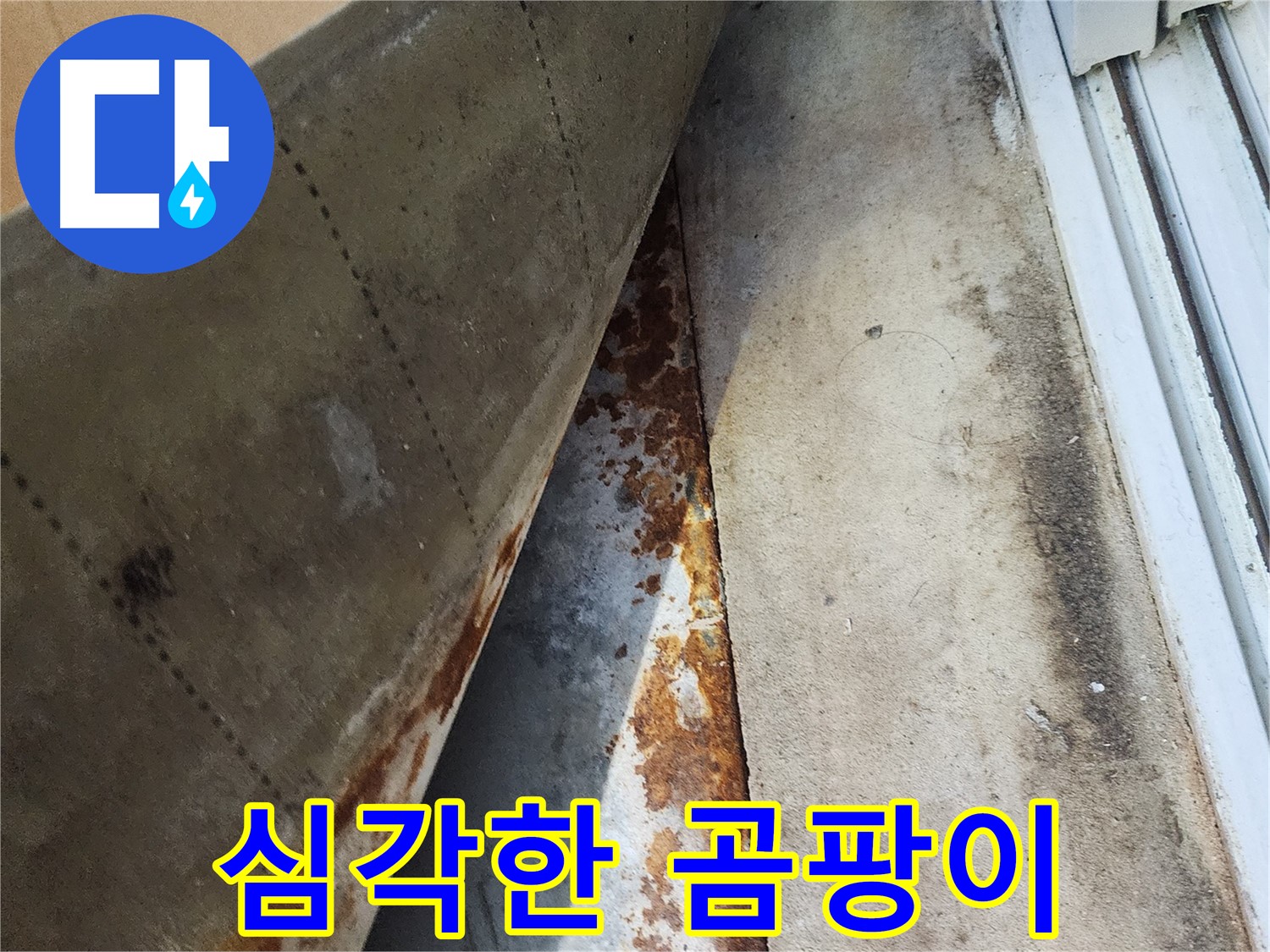 수원 장안구 삼성아파트 베란다에 발생한 심각한 곰팡이 - 누수와 습기로 인해 발생한 곰팡이는 건강에도 해로울 수 있습니다.
