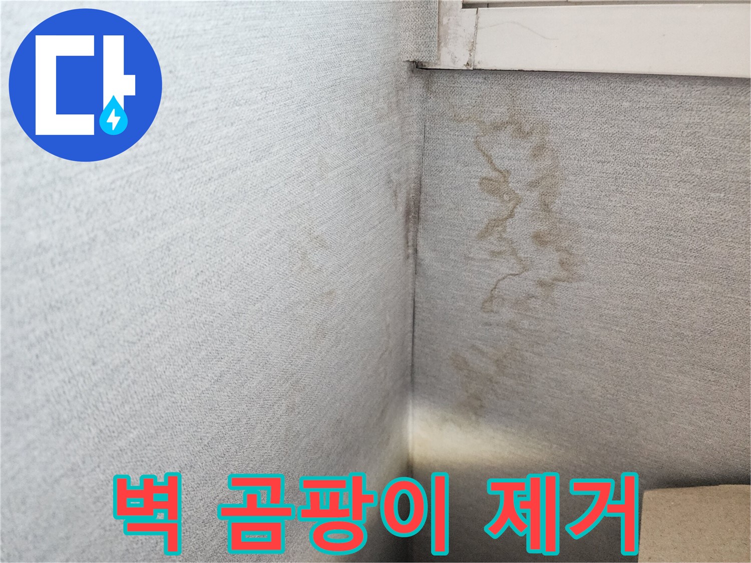장안구 누수 해결, 천천동 삼성아파트 벽면 곰팡이 제거 - 쾌적한 환경을 되찾아 드립니다.