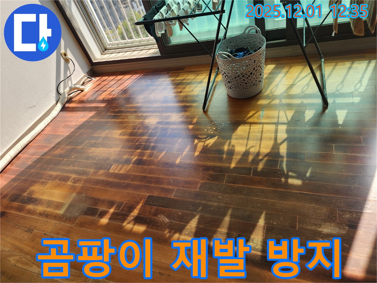 포천 이동면 도평리 주택 - 누수로 인한 마루 곰팡이, 누수탐지 전문가가 재발 방지 시공으로 곰팡이 걱정 없이 만들어 드립니다.