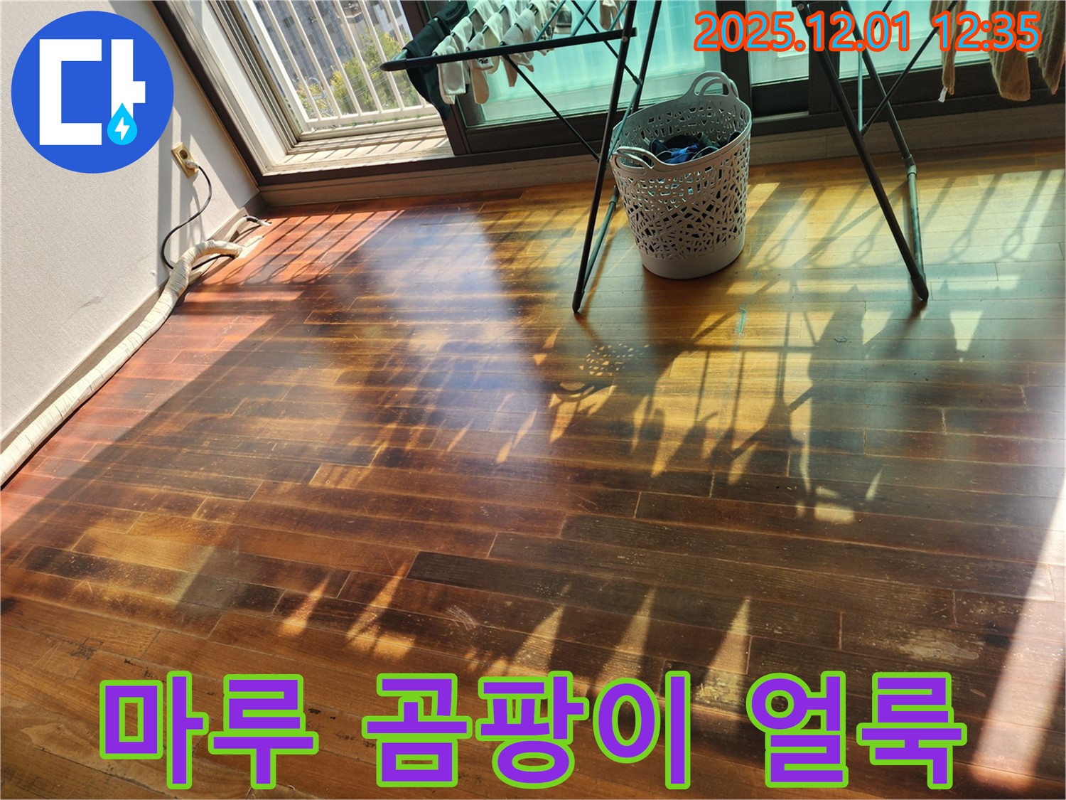 포천 이동면 도평리 주택 마루 곰팡이 얼룩 - 누수탐지 전문 업체가 곰팡이 걱정 없이 깨끗하게 만들어 드립니다.