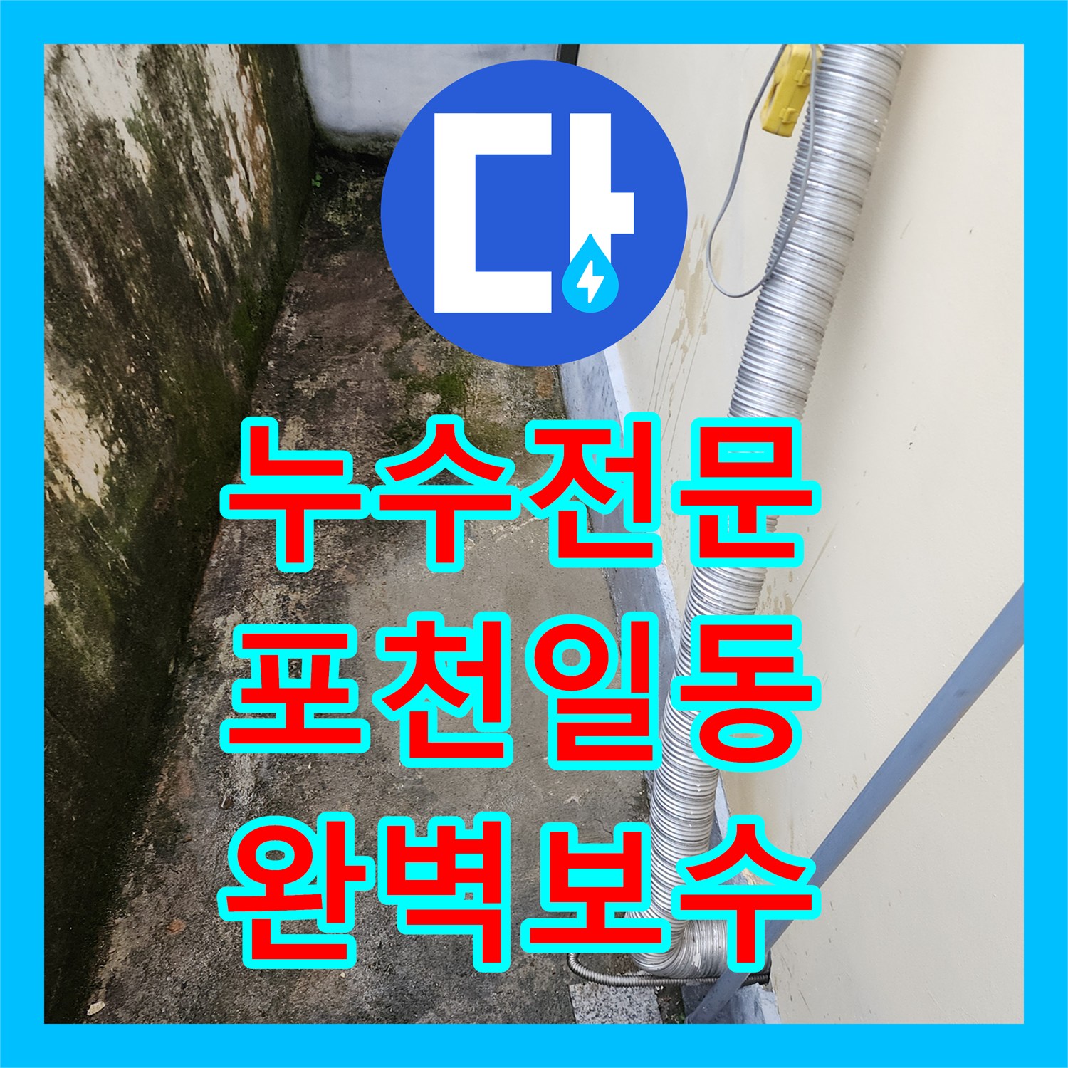 누수전문 싱크대 밑 누수가 지하 주차장까지 번진 매립 배관 파손 해결 포천시 일동면