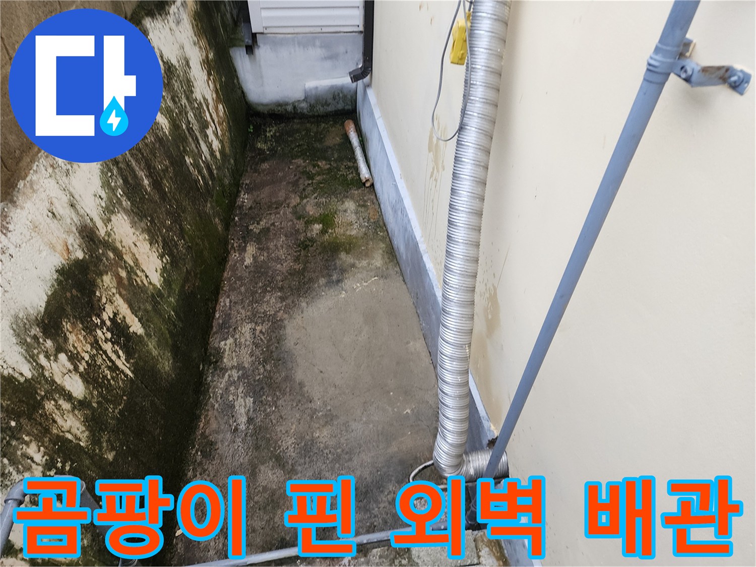 습기로 인해 곰팡이가 발생한 건물 외부 배관 주변 모습