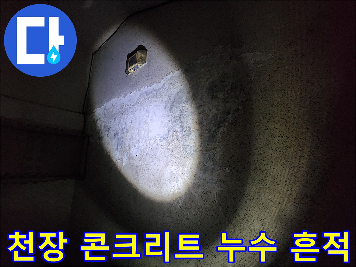 어두운 지하 공간 천장에서 발견된 누수 및 백화 현상 부위