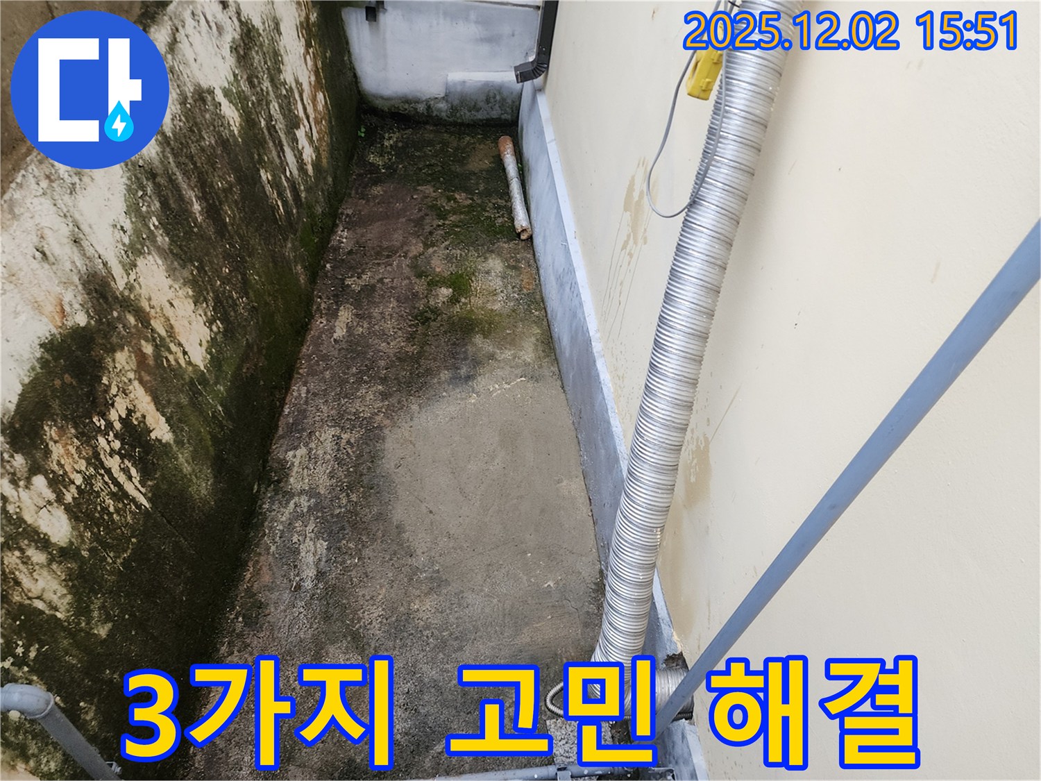 포천 좁은 공간 곰팡이 - 곰팡이, 습기, 냄새 3가지 고민 해결!