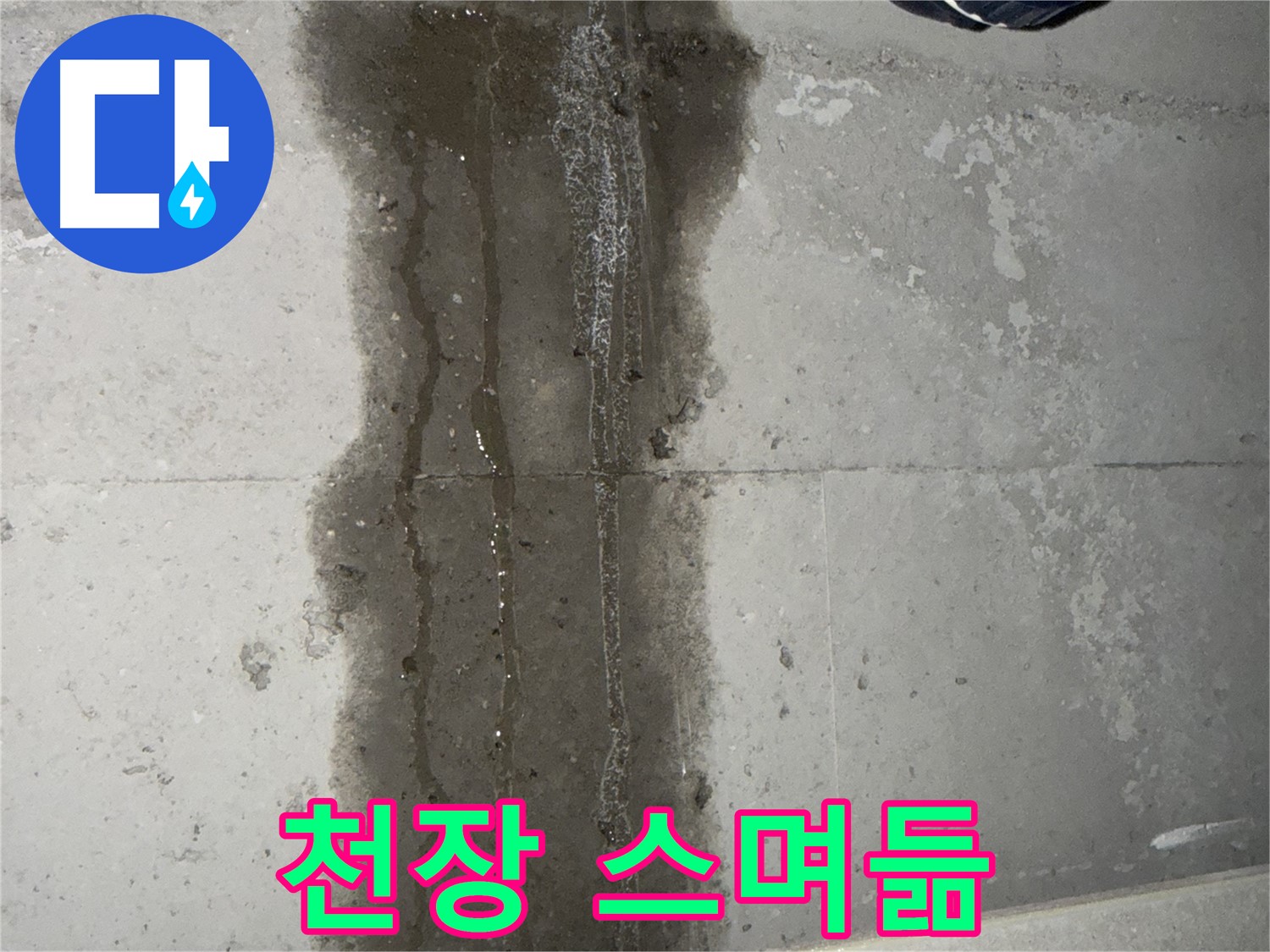 동두천 지행동 아파트 누수 - 천장에서 물이 스며드는 모습