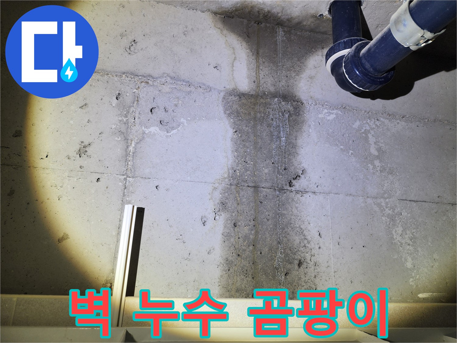 동두천 지행동 아파트 콘크리트 벽 누수 - 곰팡이 발생 위험 경고