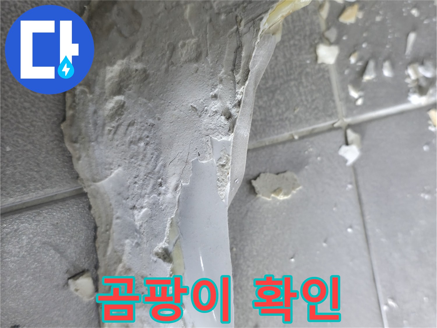 마포구 성암로 누수 - 석고보드 파손, 천장 내부 곰팡이 발생 확인