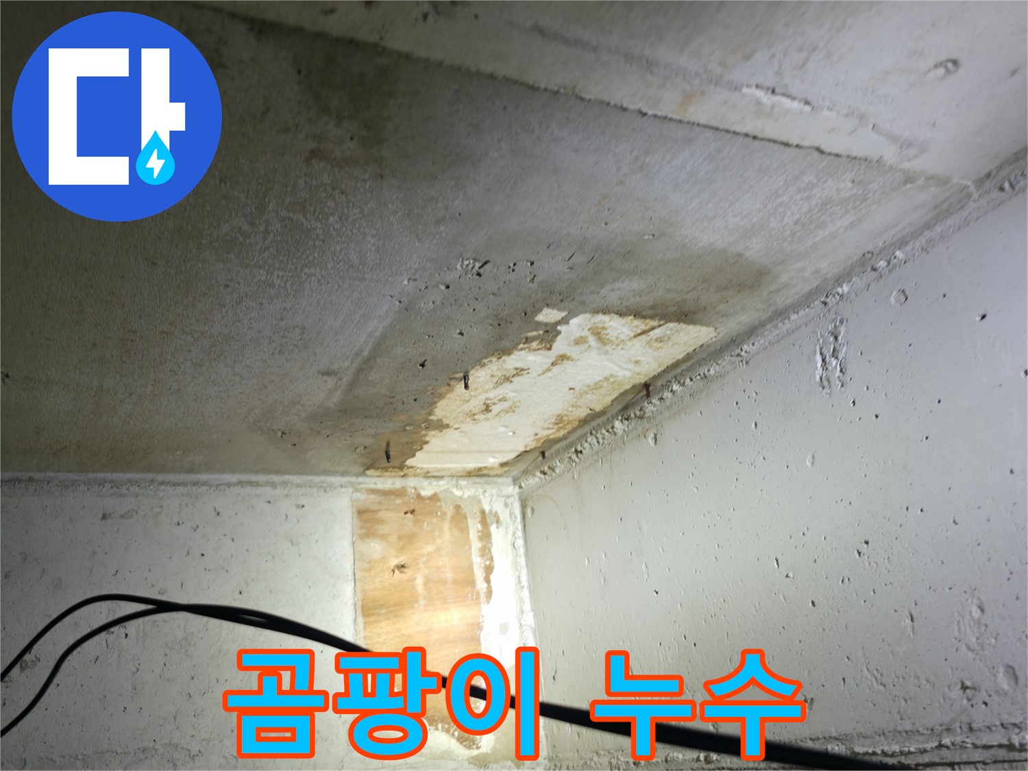의왕시 능안길 백운그린힐 아파트 - 곰팡이가 핀 천장 누수 부위