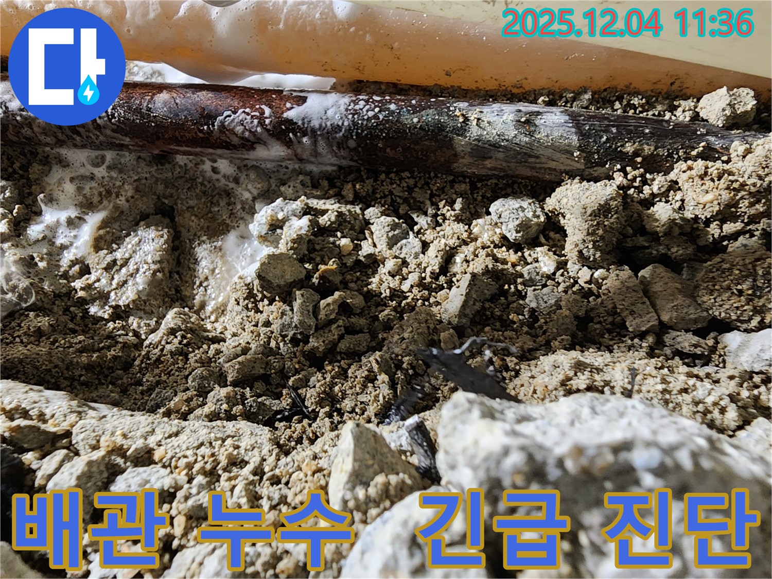 경기도 포천시 일동면 기산리 배관 누수 현장 - 긴급 누수 진단을 통해 누수 원인을 파악하고 신속하게 해결합니다.