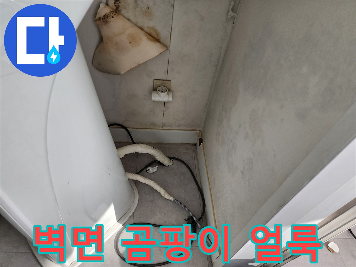 세탁기-뒤쪽-벽면에-퍼진-습기-및-오염-상태