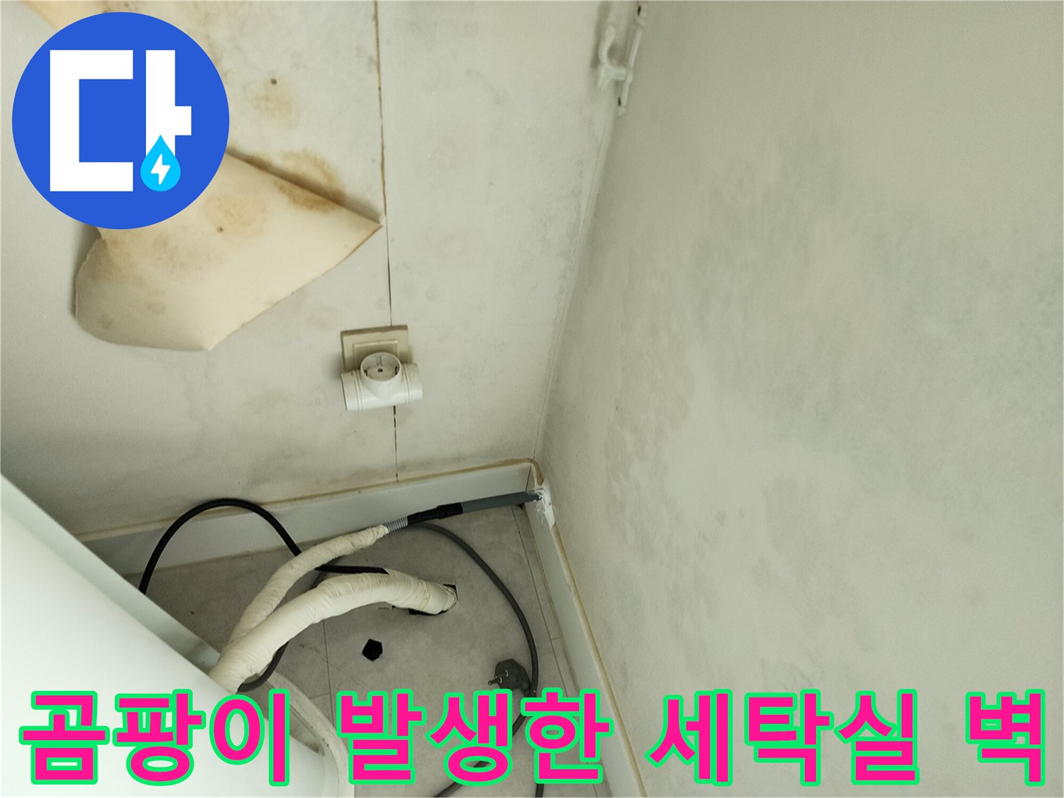 심하게 오염된 세탁실 벽면의 곰팡이와 습기 흔적