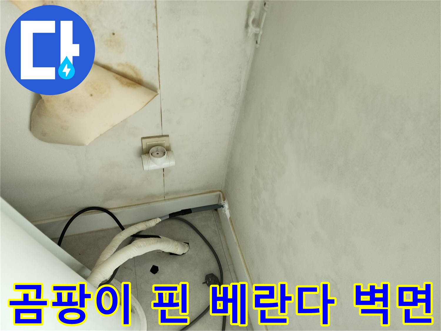 심한 습기로 인해 발생한 베란다 벽면의 곰팡이와 얼룩