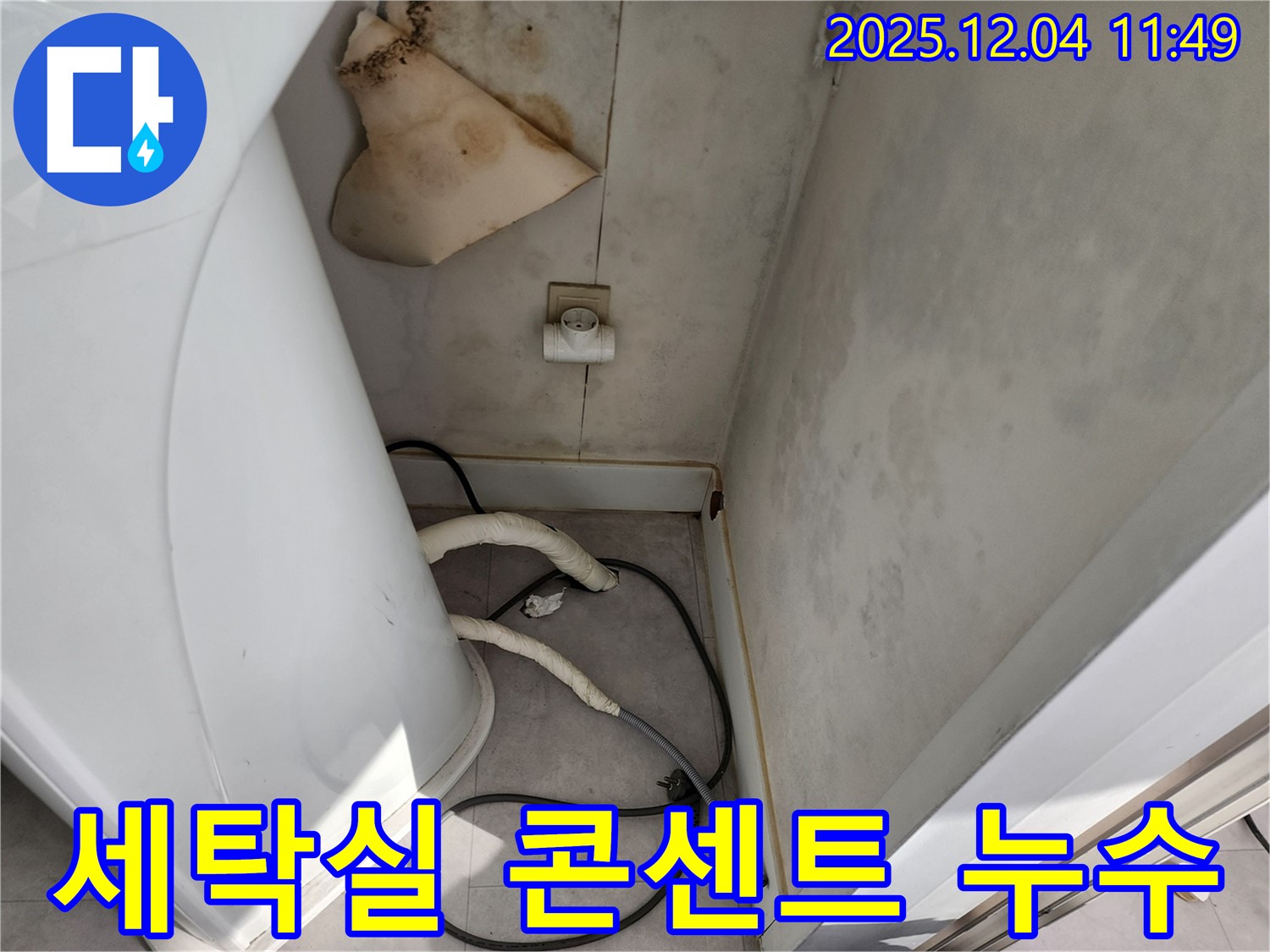 포천시 - 세탁실 콘센트 곰팡이 - 젖은 벽 - 감전 예방, 안전 최우선