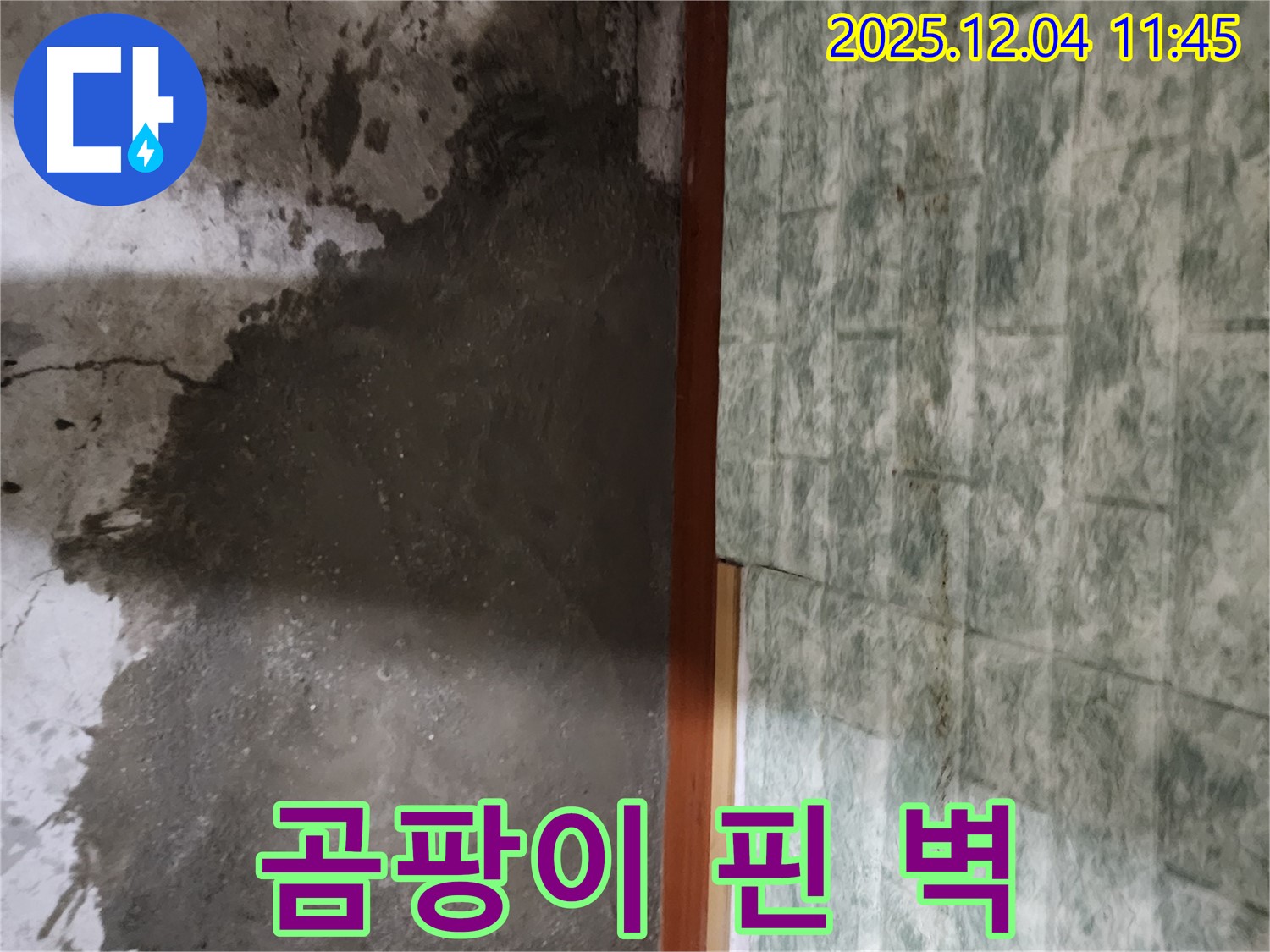 포천시 일동면 기산리 누수 - 곰팡이 핀 벽, 누수 원인 제거하고 쾌적한 공간으로