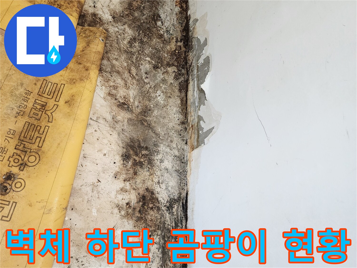 습기 침투로 인해 벽면과 바닥 경계에 발생한 검은색 곰팡이 오염물