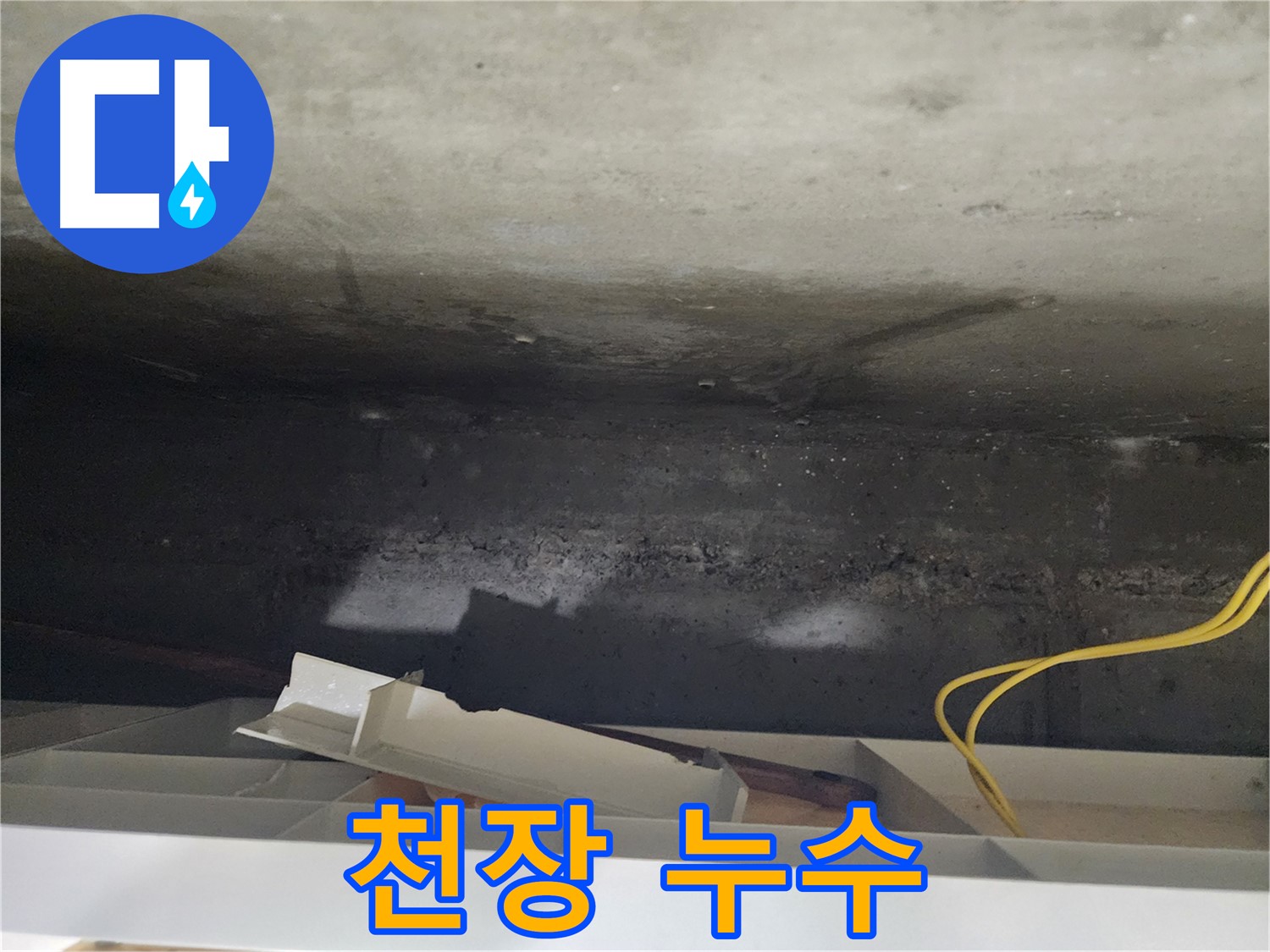 기흥구 구갈 천장 얼룩 - 누수 의심! 누수 탐지를 통해 정확한 원인을 찾아 해결합니다.