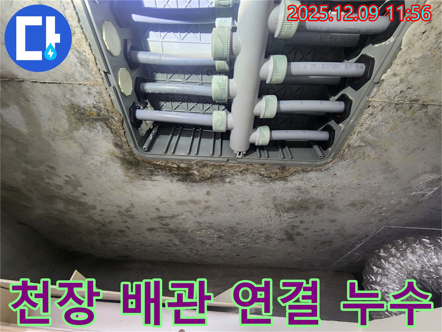 김포 구래동 아파트 천장 누수 - 배관 연결 부위에서 누수가 발생한 모습