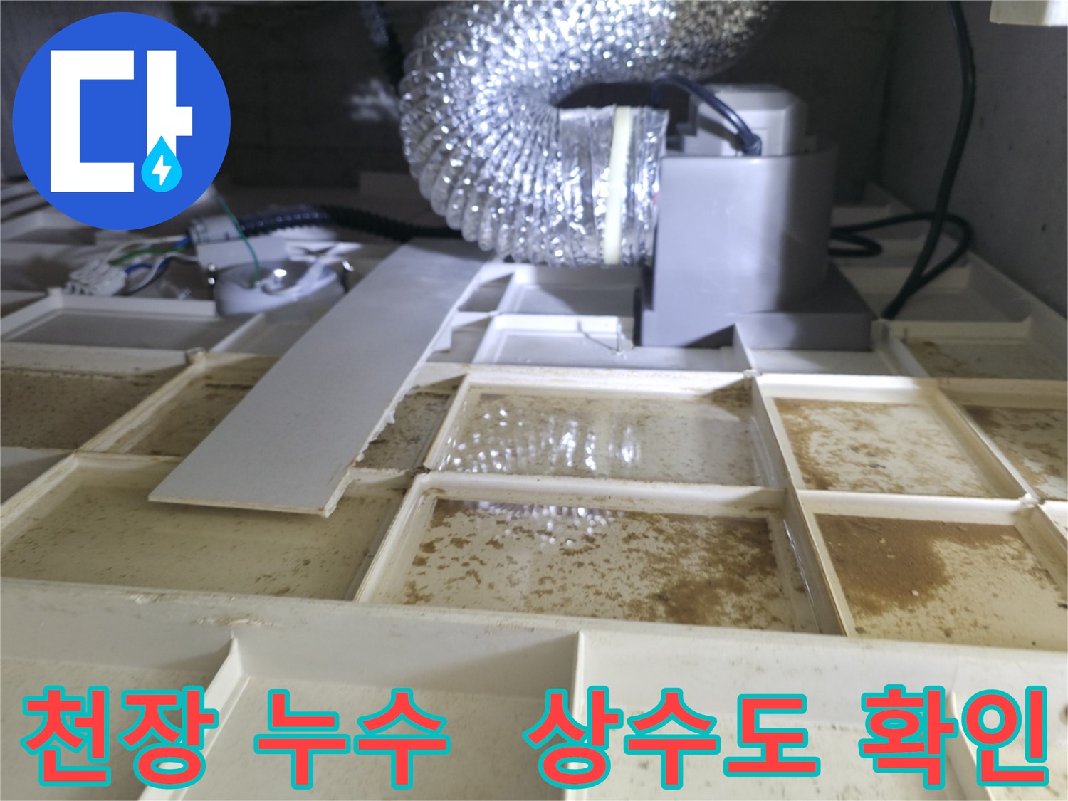 아파트 천장 누수 발생 - 상수도 문제 여부 확인을 위한 검사 진행