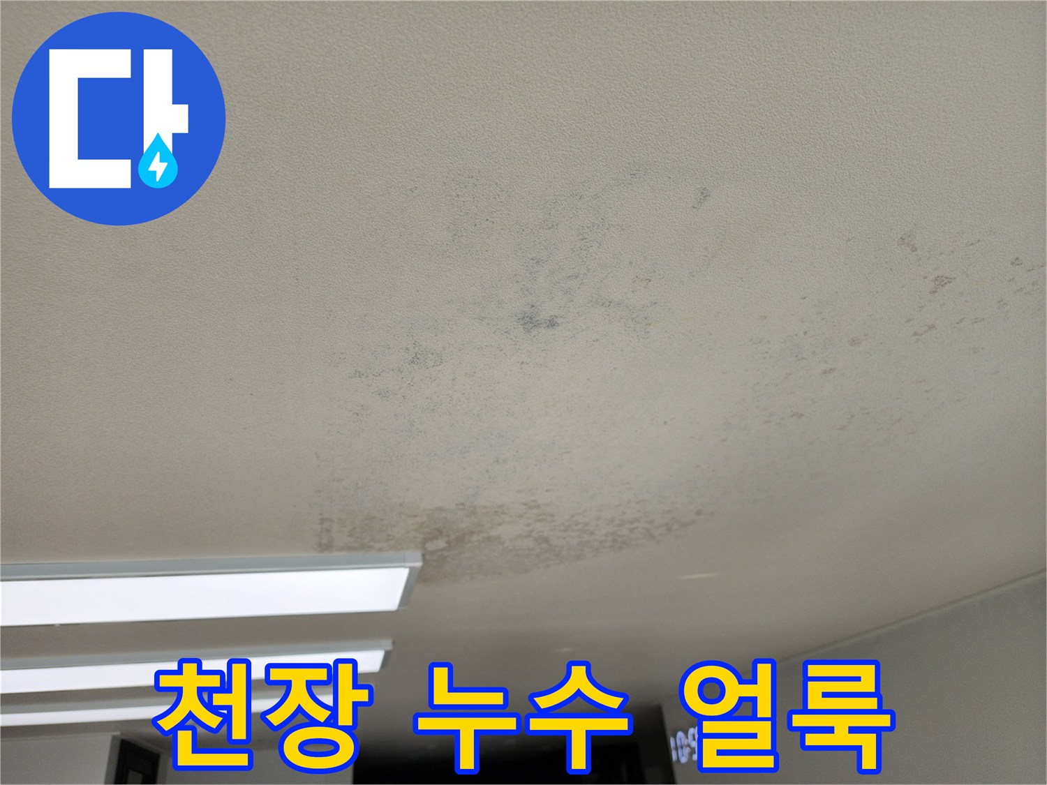 거실 천장에 발생한 넓은 범위의 물자국과 곰팡이 흔적