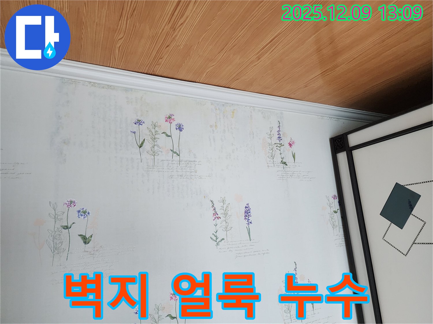 겉으로 보기엔 작은 얼룩 - 숨겨진 누수의 신호일 수 있습니다. 전문적인 누수 탐지가 필요합니다.