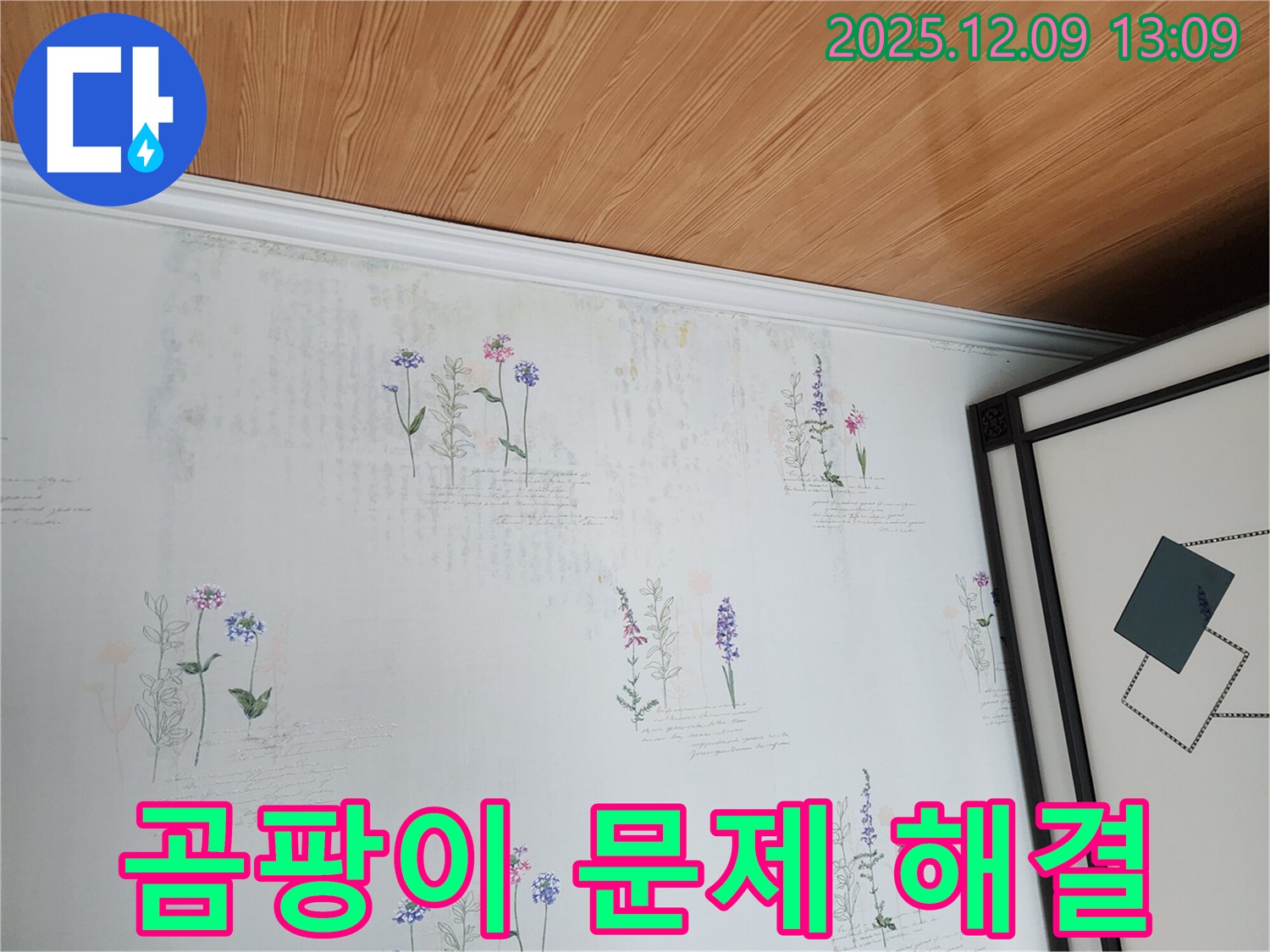 곰팡이 문제 - 누수 해결로 곰팡이 걱정 없이 쾌적한 공간을 만들어 드립니다.