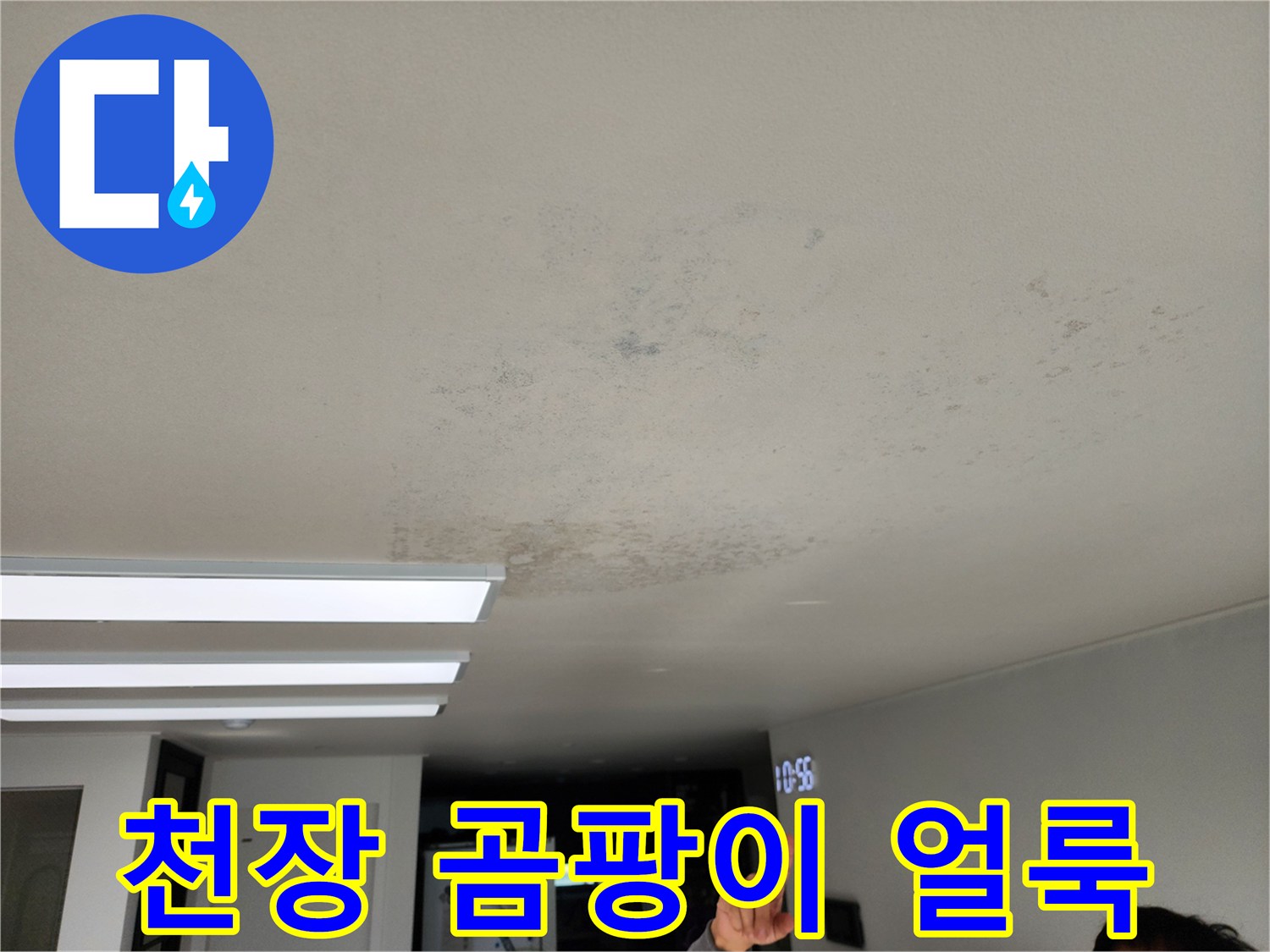 넓게 퍼진 천장 곰팡이와 습기 흔적 사진