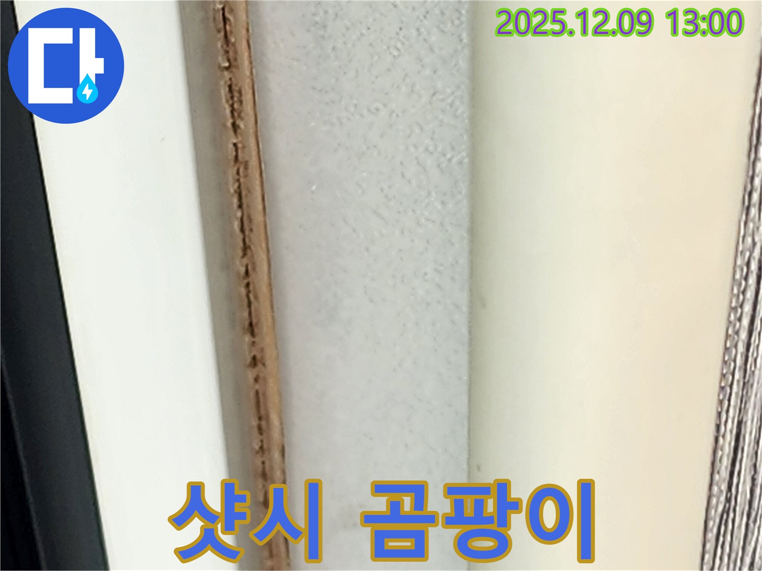 샷시 주변 곰팡이 - 누수로 인해 곰팡이가 발생한 모습입니다.