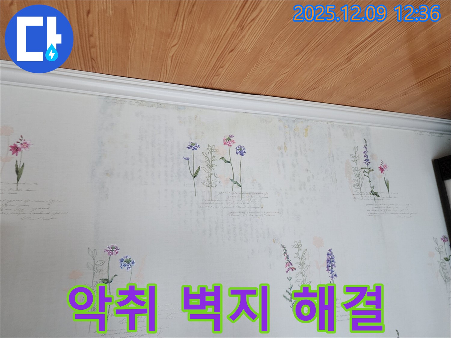 성동리 누수 문제 해결 전문 - 곰팡이 악취 벽지 문제의 근본 원인인 누수를 확실하게 해결하는 완벽한 누수 공사
