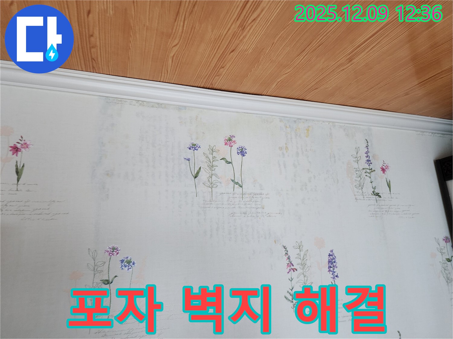 성동리 누수 문제 해결 전문 - 곰팡이 포자가 가득한 벽지 문제의 근본 원인인 누수를 확실하게 해결하는 완벽한 누수 공사