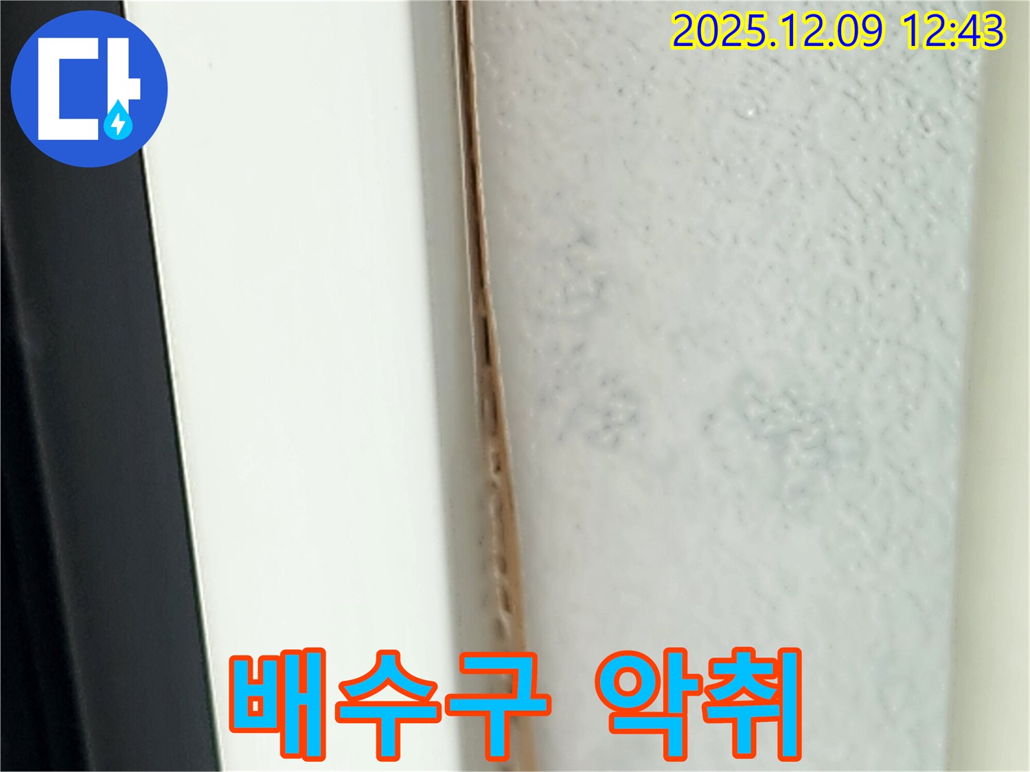 싱크대 배수구 악취 - 누수와 관련 있을 수 있습니다.