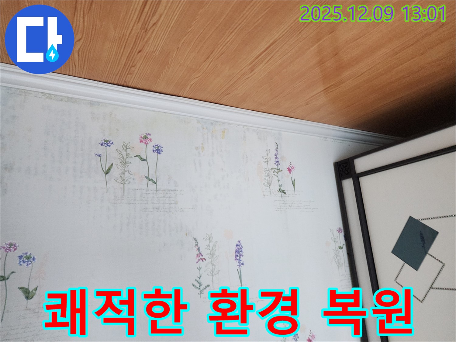 영중면 성동리 누수 현장 - 곰팡이 완벽 제거 및 쾌적한 환경 복원