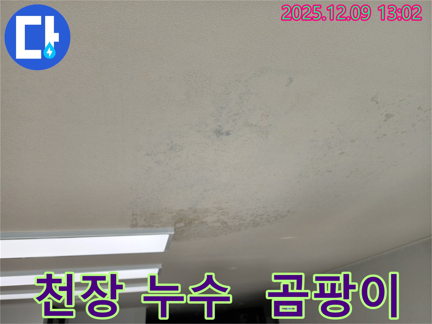 영중면 성동리 천장 누수 - 곰팡이를 방치하면 집 전체로 확산될 수 있습니다!