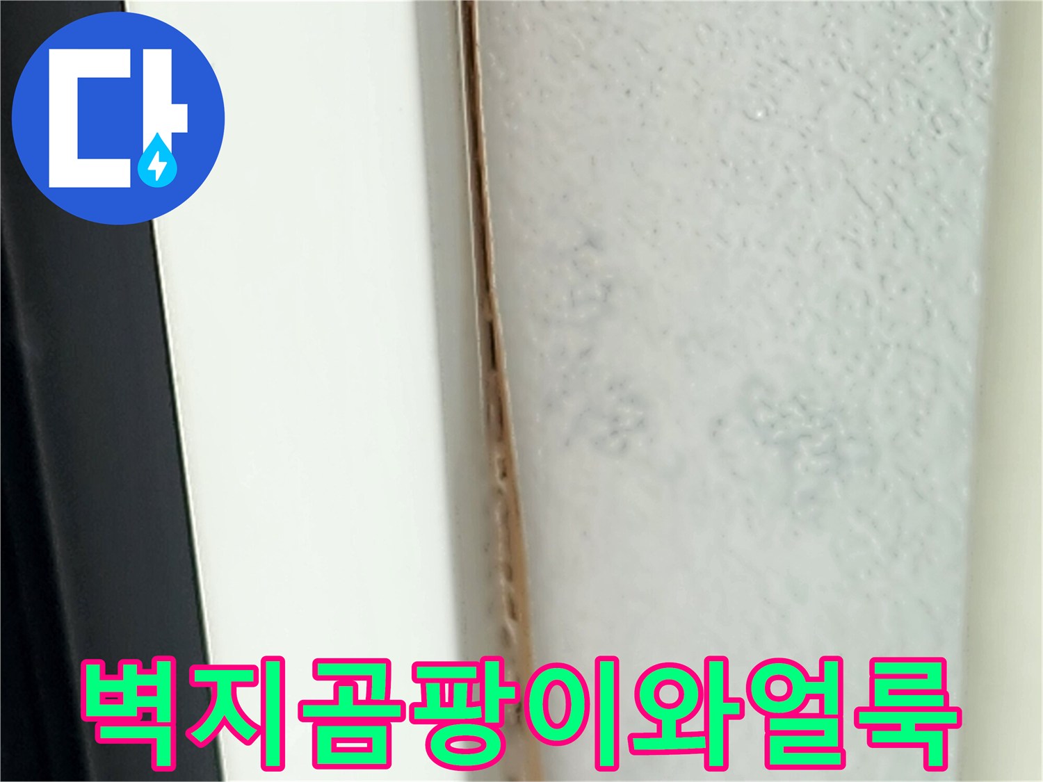 영중면-주거공간-천장-부위의-습기-및-변색-사진