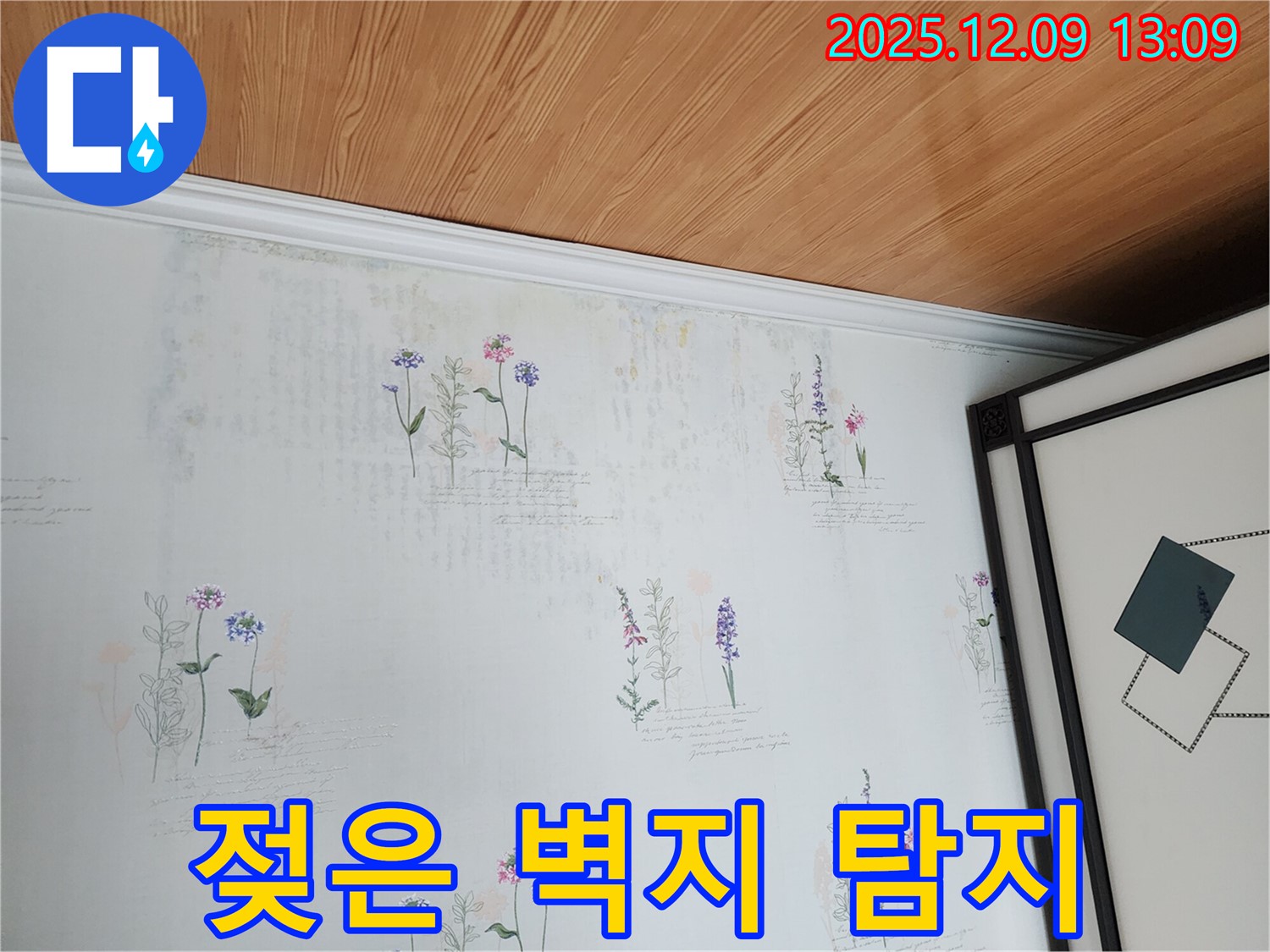 젖은 벽지와 곰팡이 - 빠른 누수 탐지가 답입니다. 신속하게 누수 전문가를 부르세요.