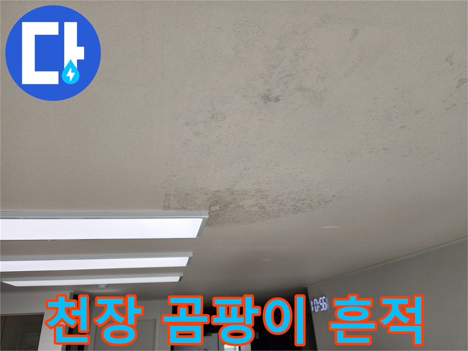 천장 내부 습기로 인해 발생한 곰팡이와 얼룩 상태
